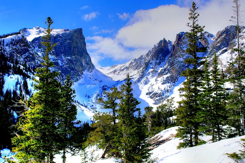 a snow covered mountain with trees in the foreground