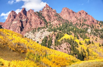 the mountains are covered in yellow and green trees