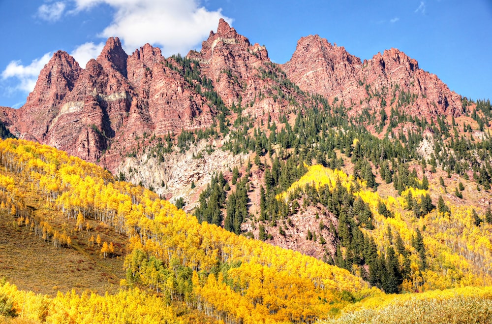 the mountains are covered in yellow and green trees