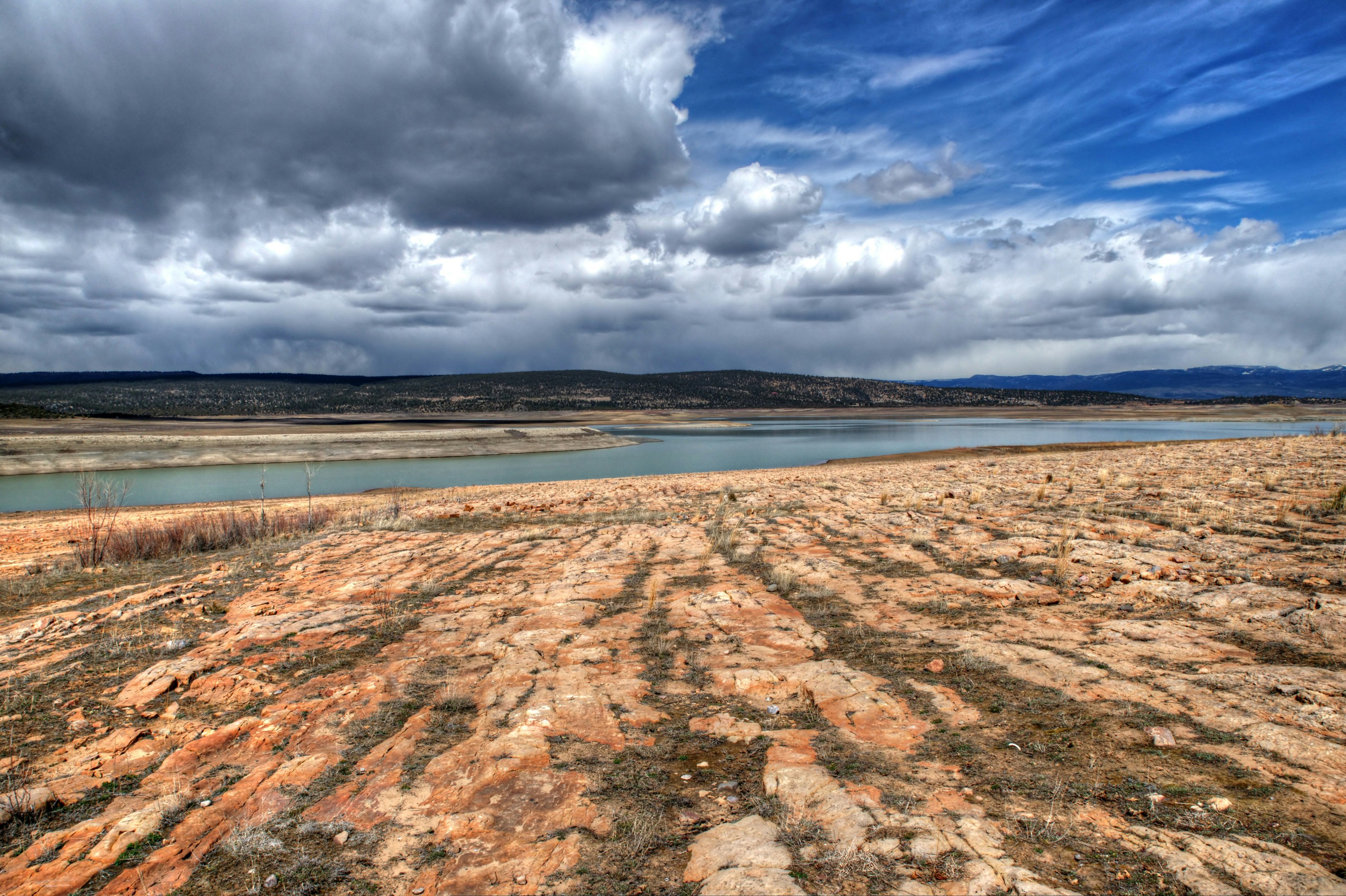 Photo by michaelkirsh