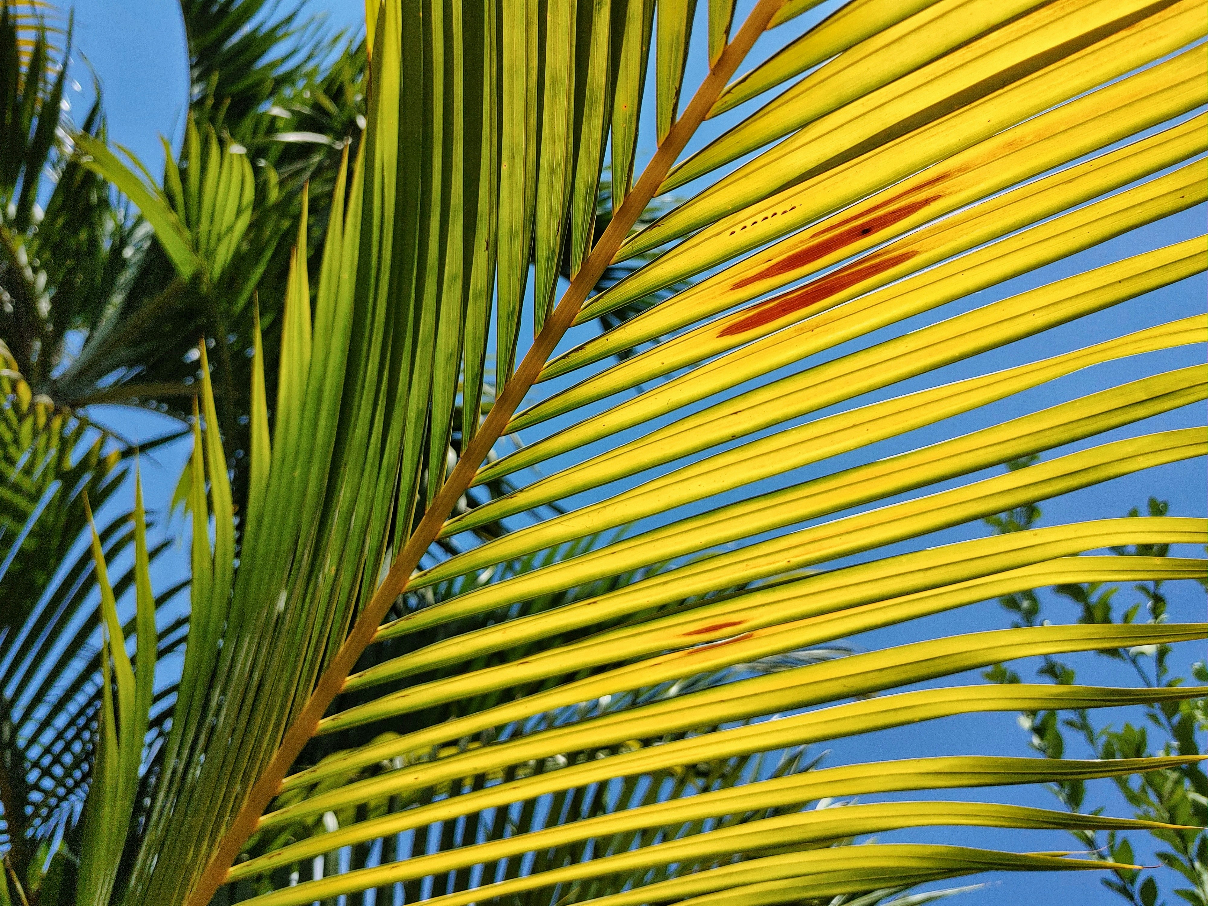 Photo by phographstudio