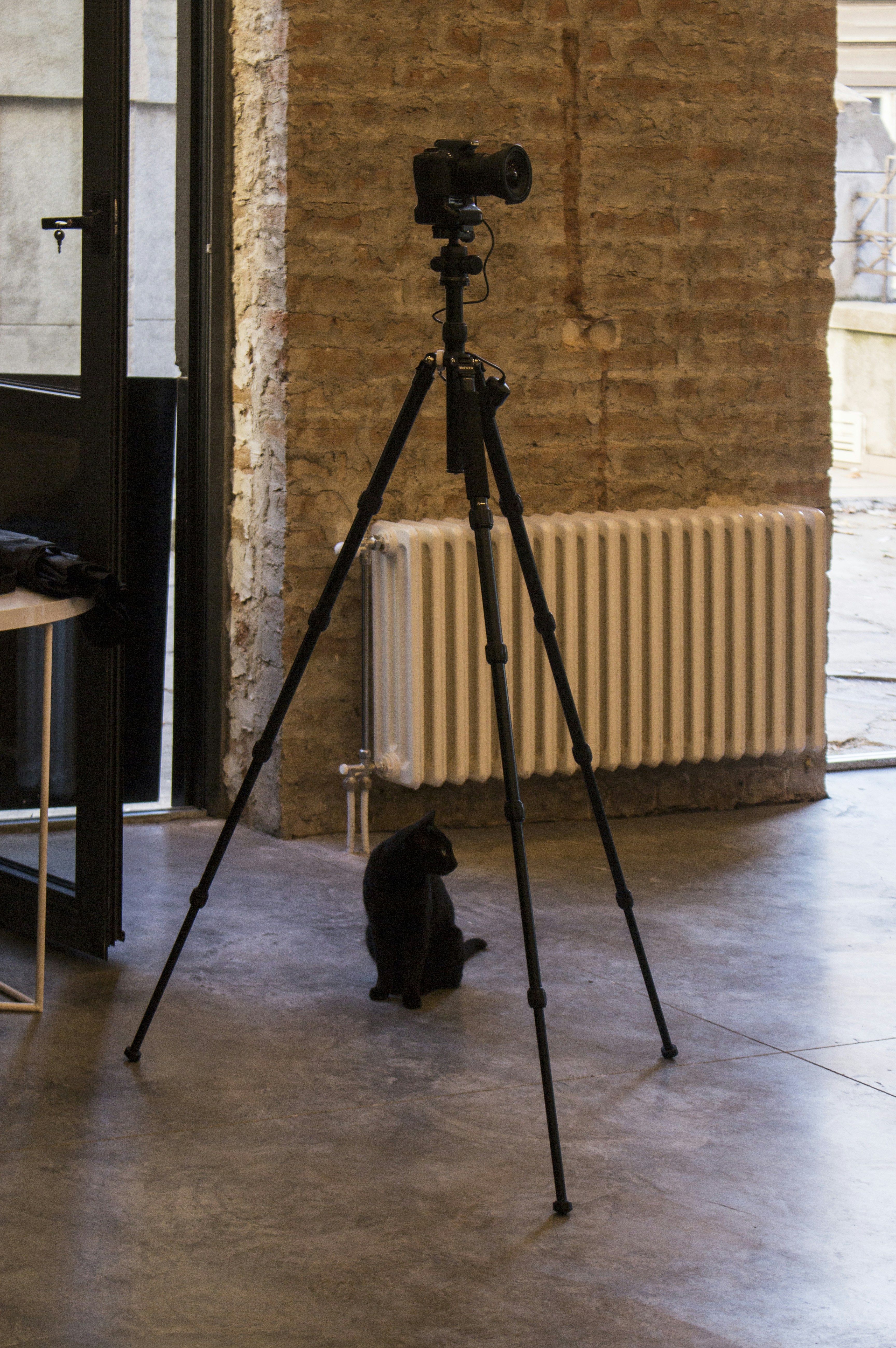 Knocking Things Off the Table (Again) (image credits: unsplash)