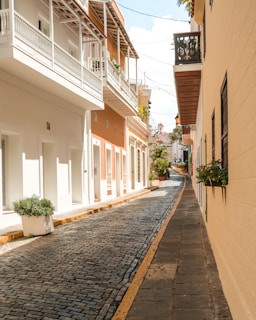 a cobblestone street in a small town