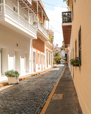 a cobblestone street in a small town