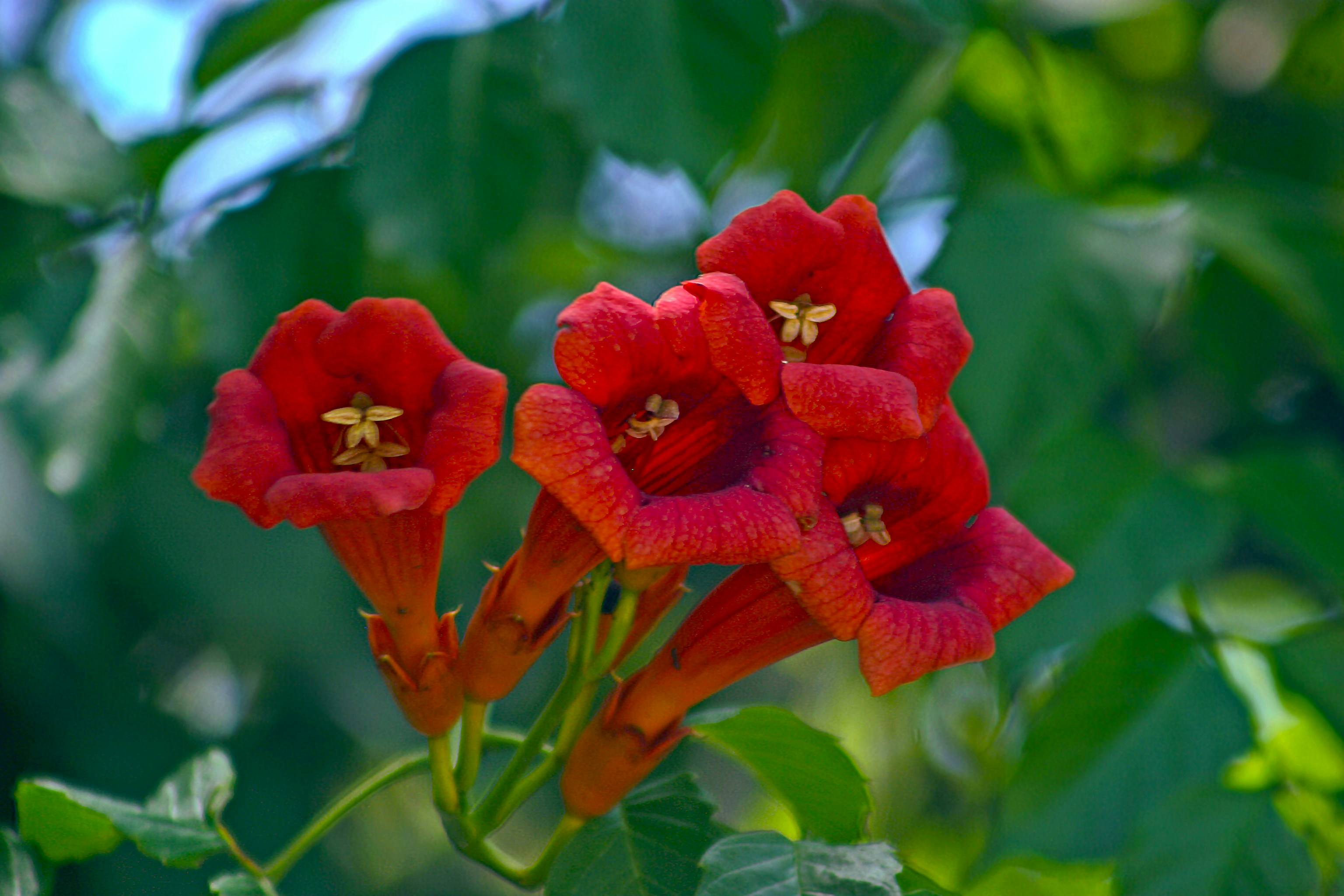 Photo by climatechangevi