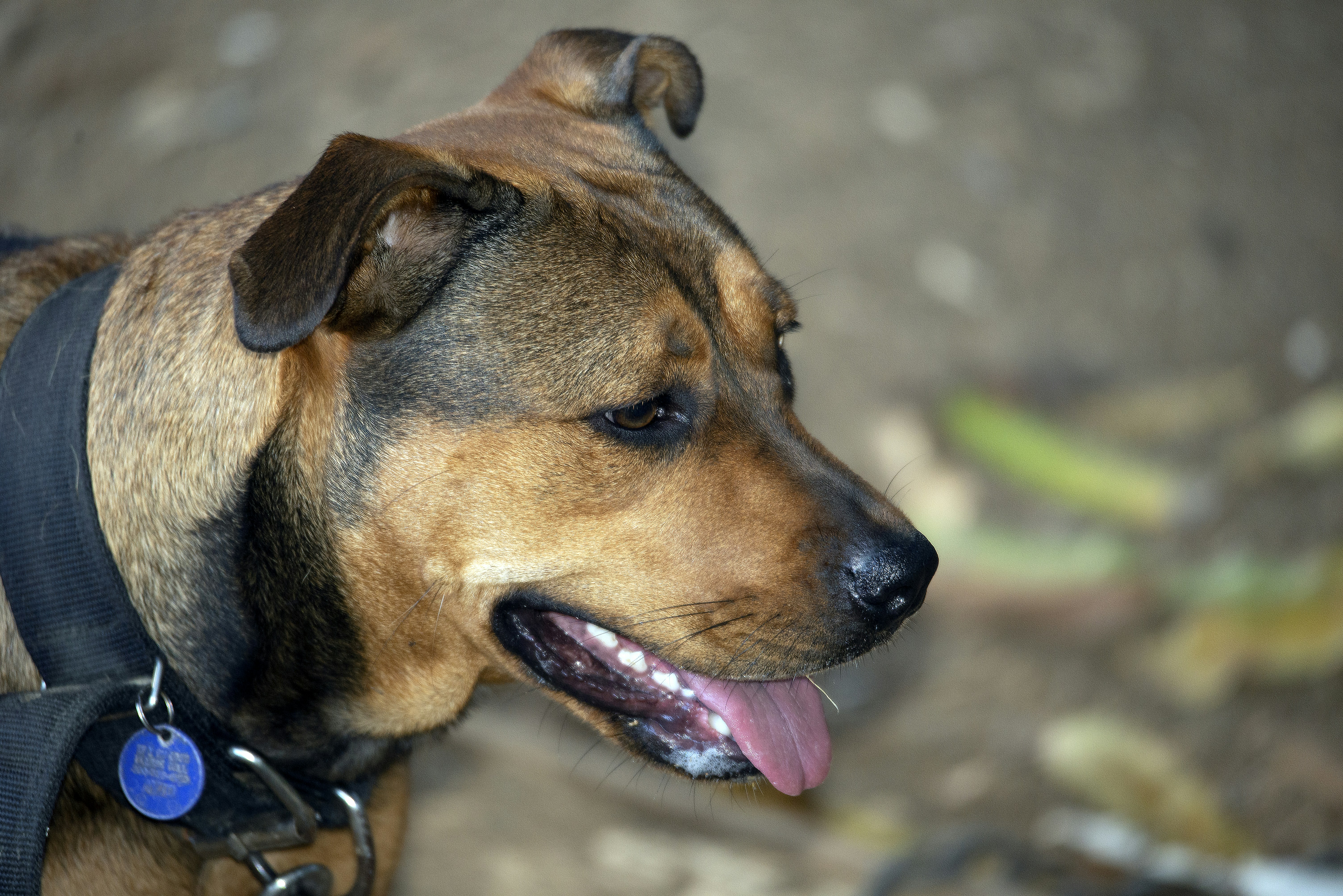 Photo by climatechangevi