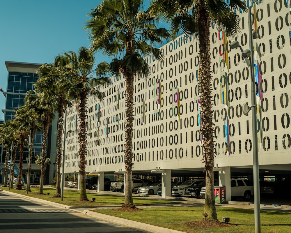 palm trees line the street in front of a building