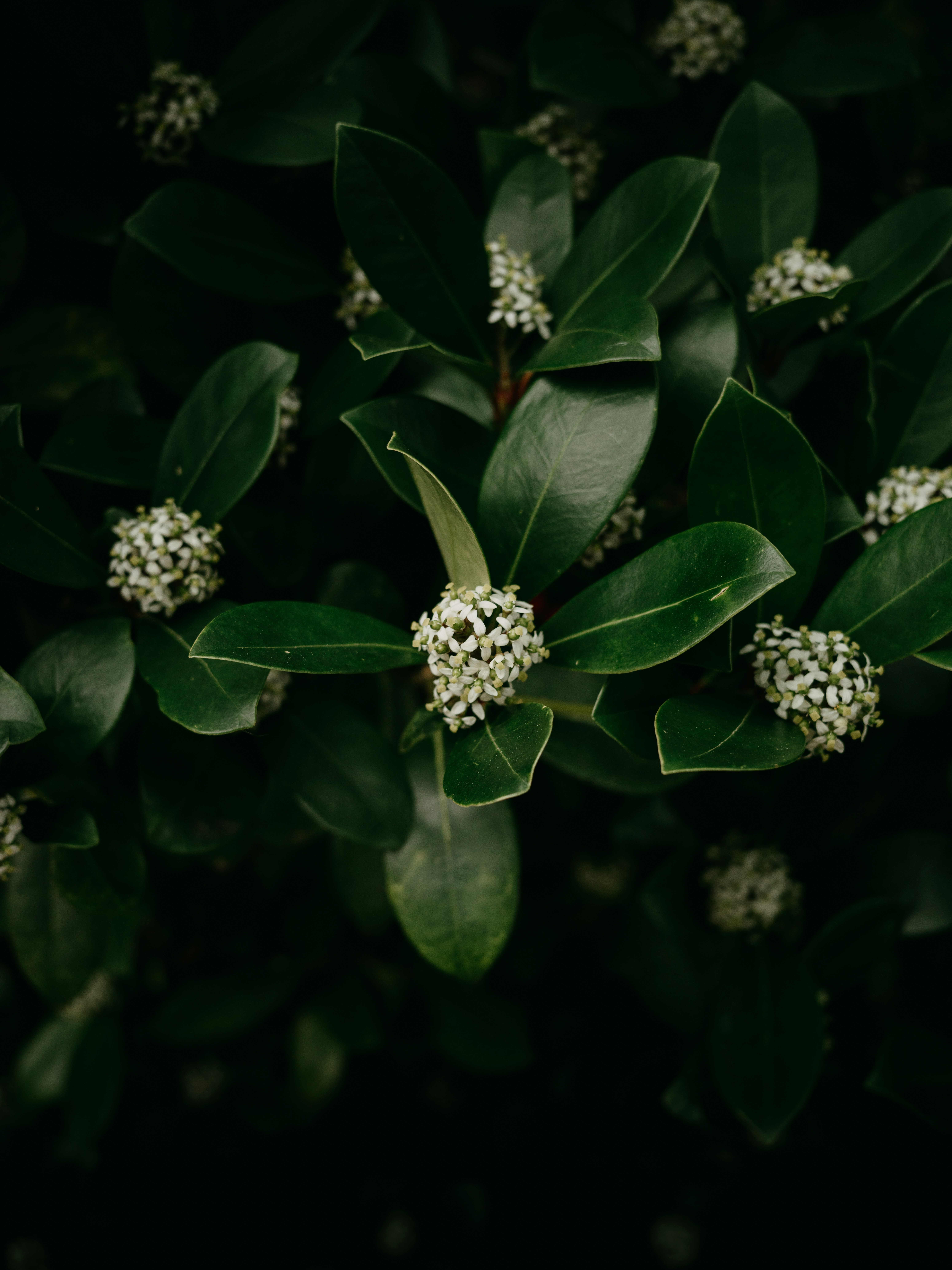 Photo by anniespratt