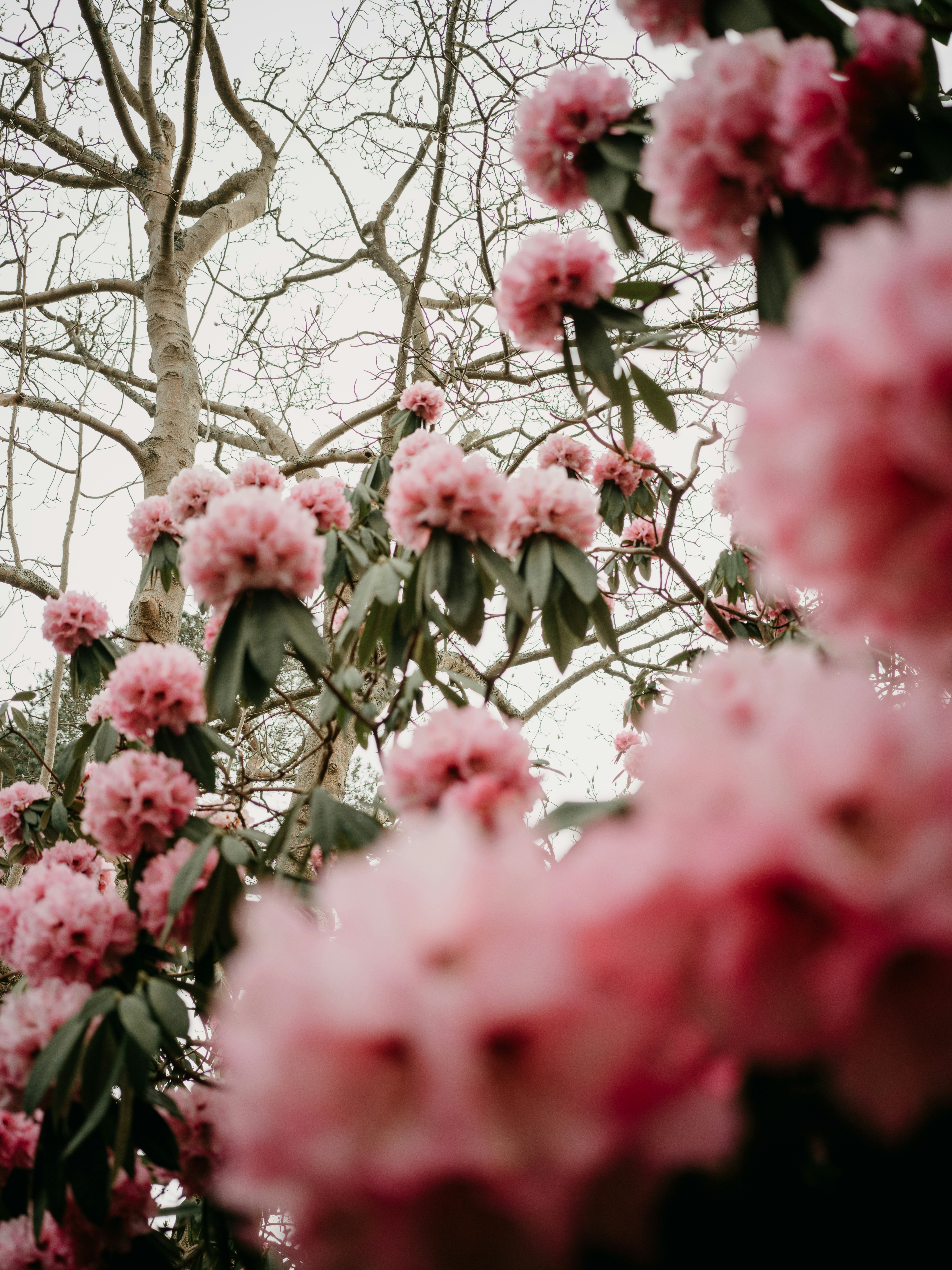 Photo by anniespratt