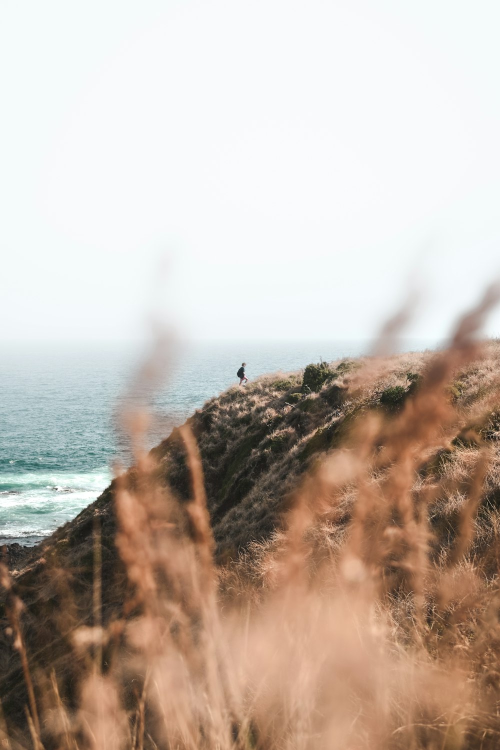 a person standing on top of a hill near the ocean