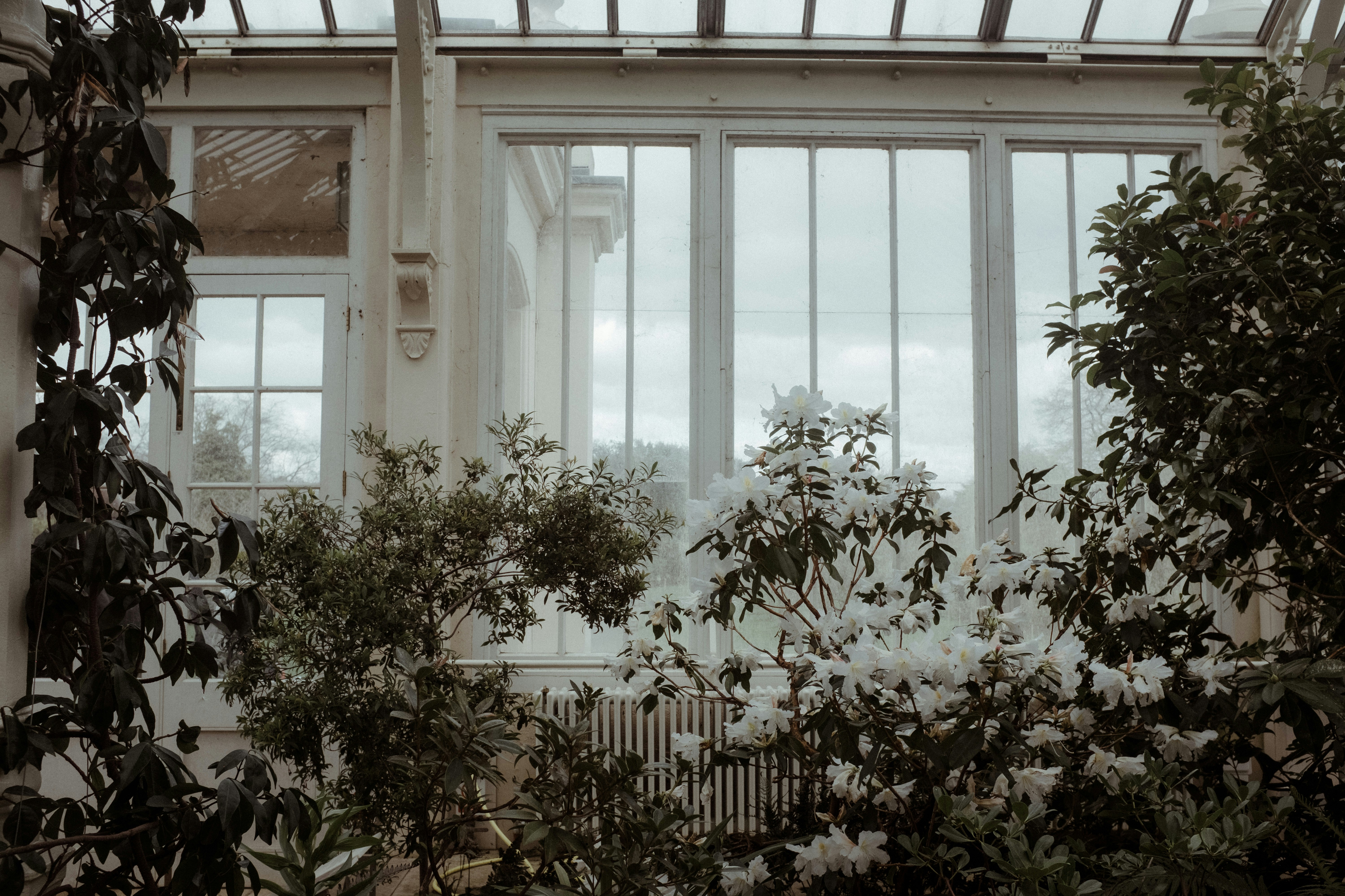 Photo by eleanorbrooke