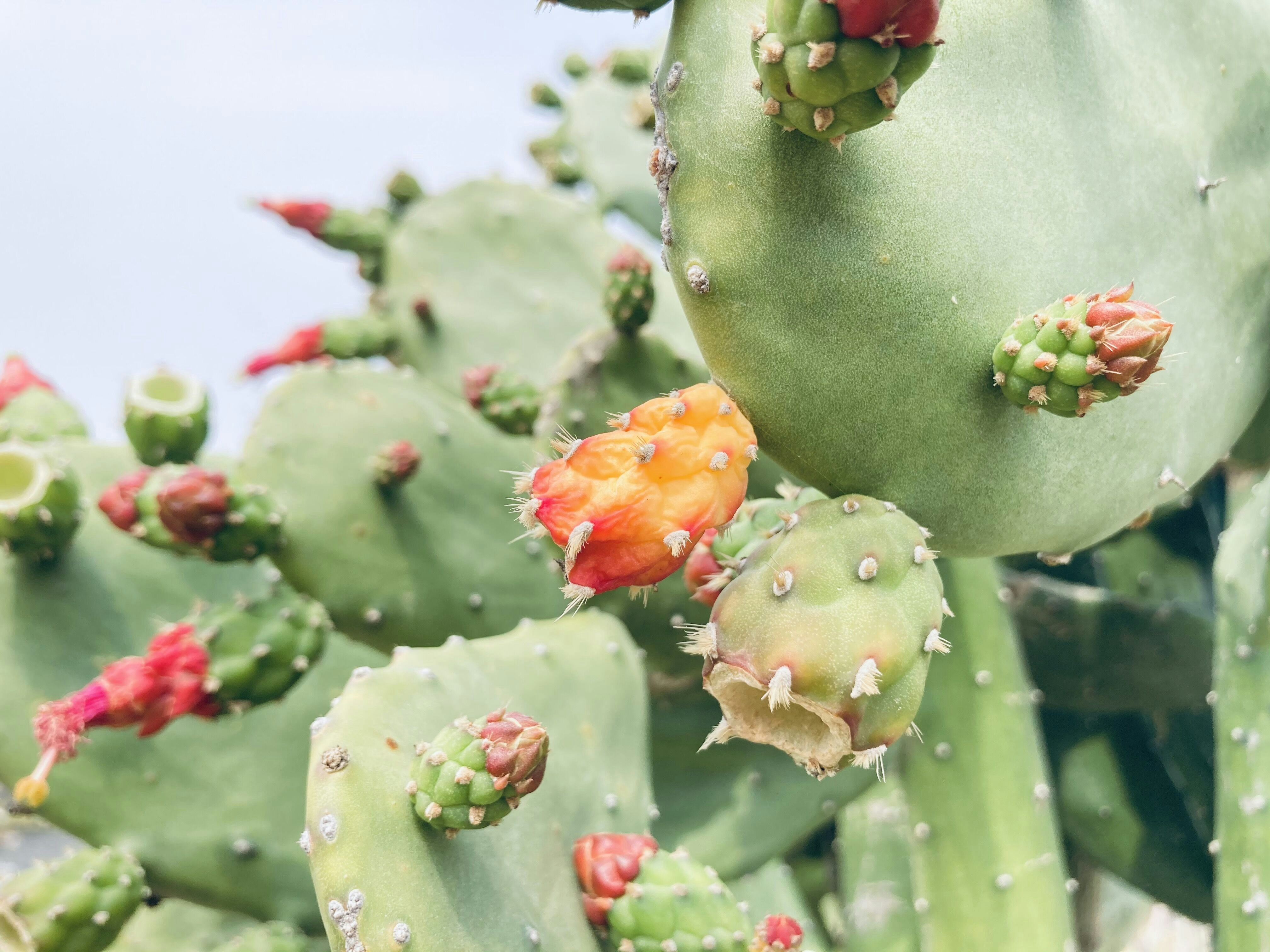 Photo by yiminchen777