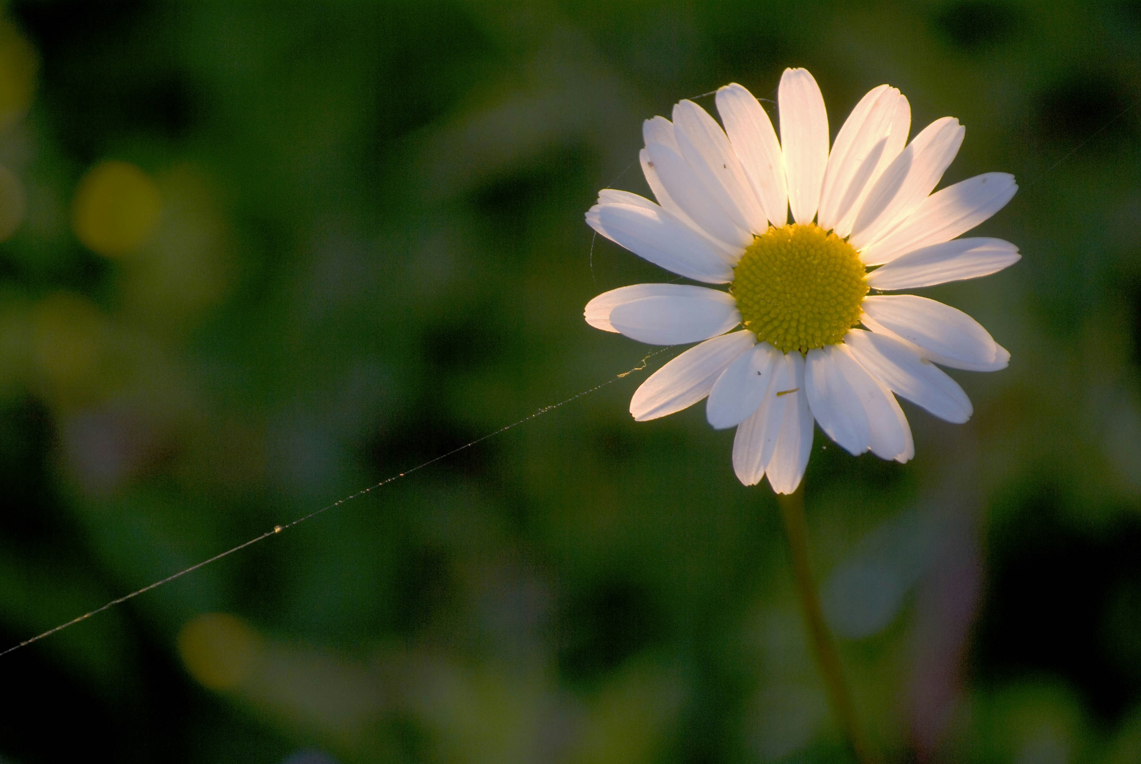 Photo by btg308