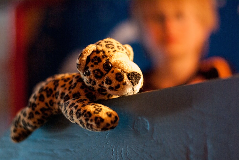 a small stuffed animal sitting on top of a blue wall