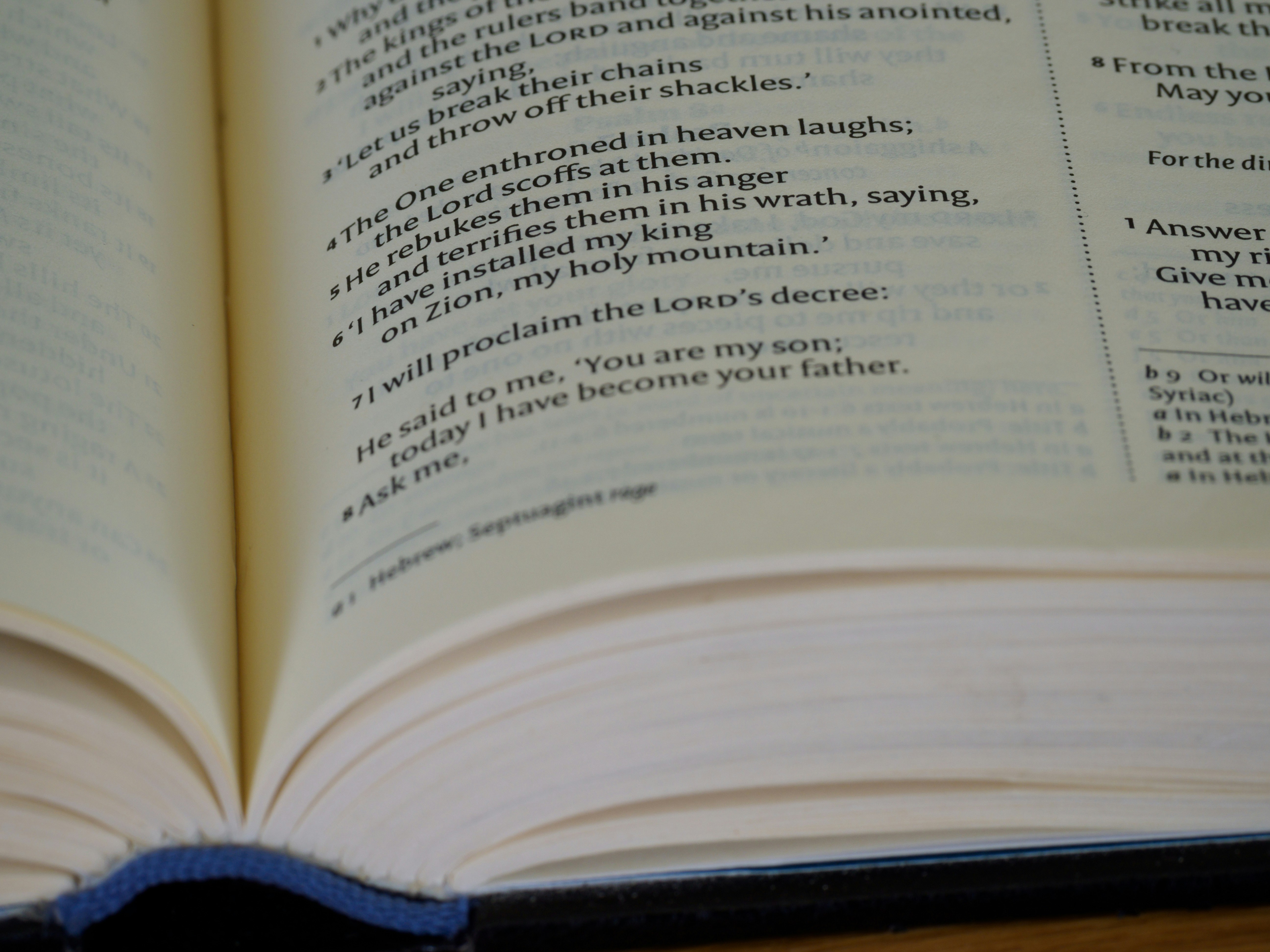 close-up of an open book on a table