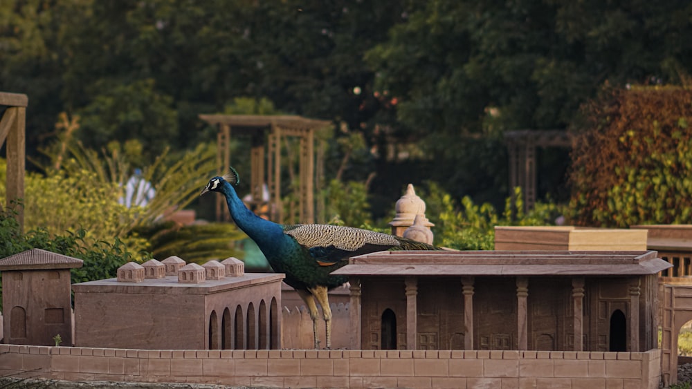 a peacock standing on top of a stone structure