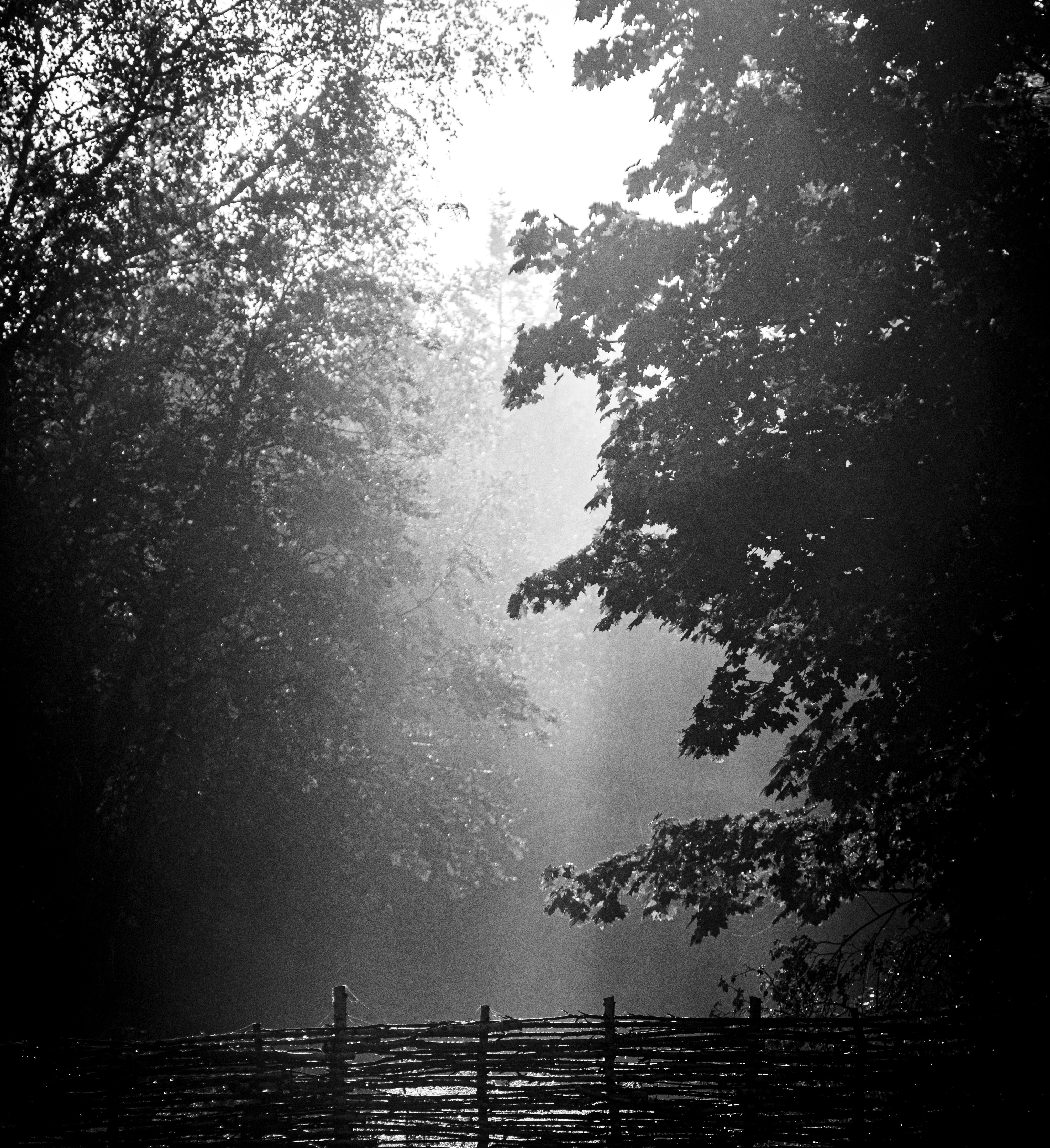 Photo by btg308