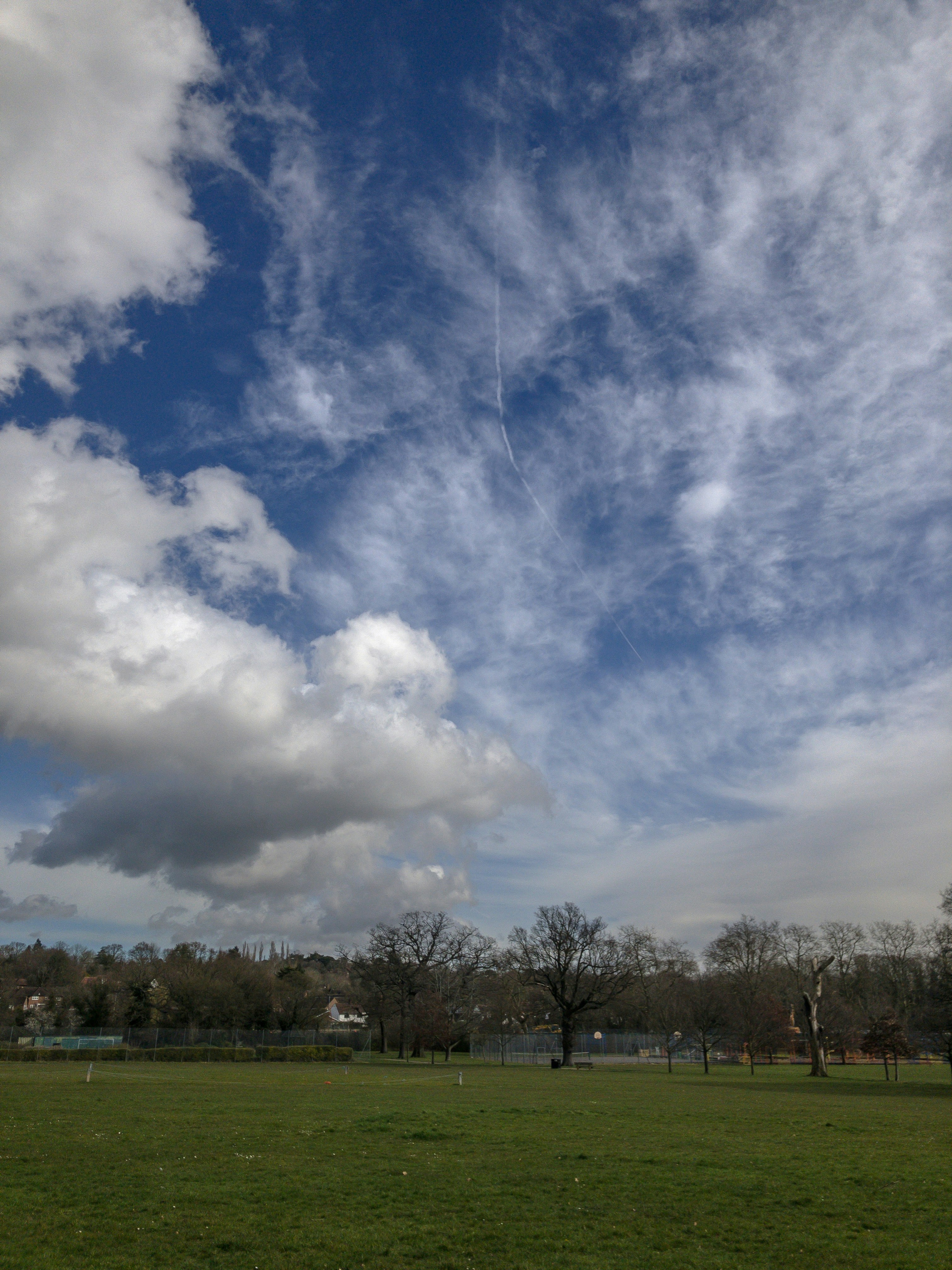 Photo by brett_jordan