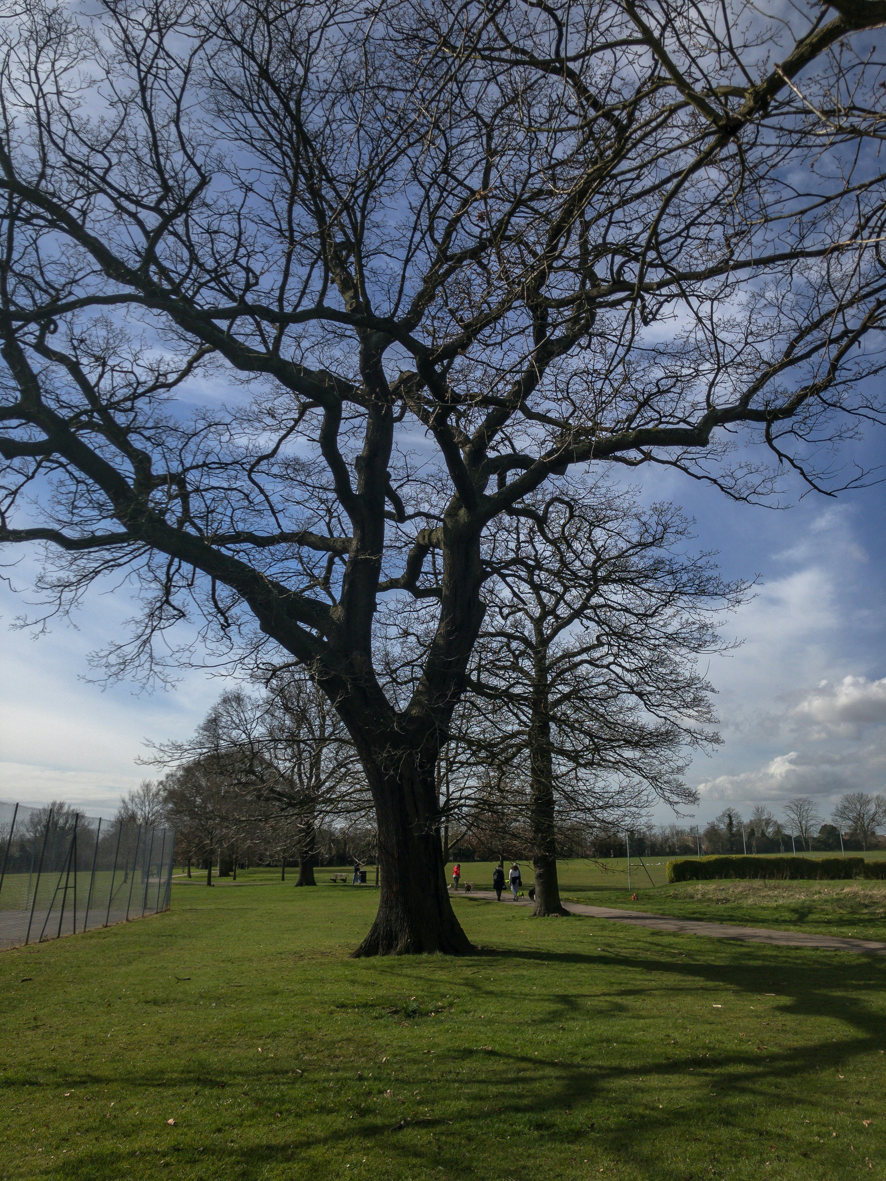 Photo by brett_jordan