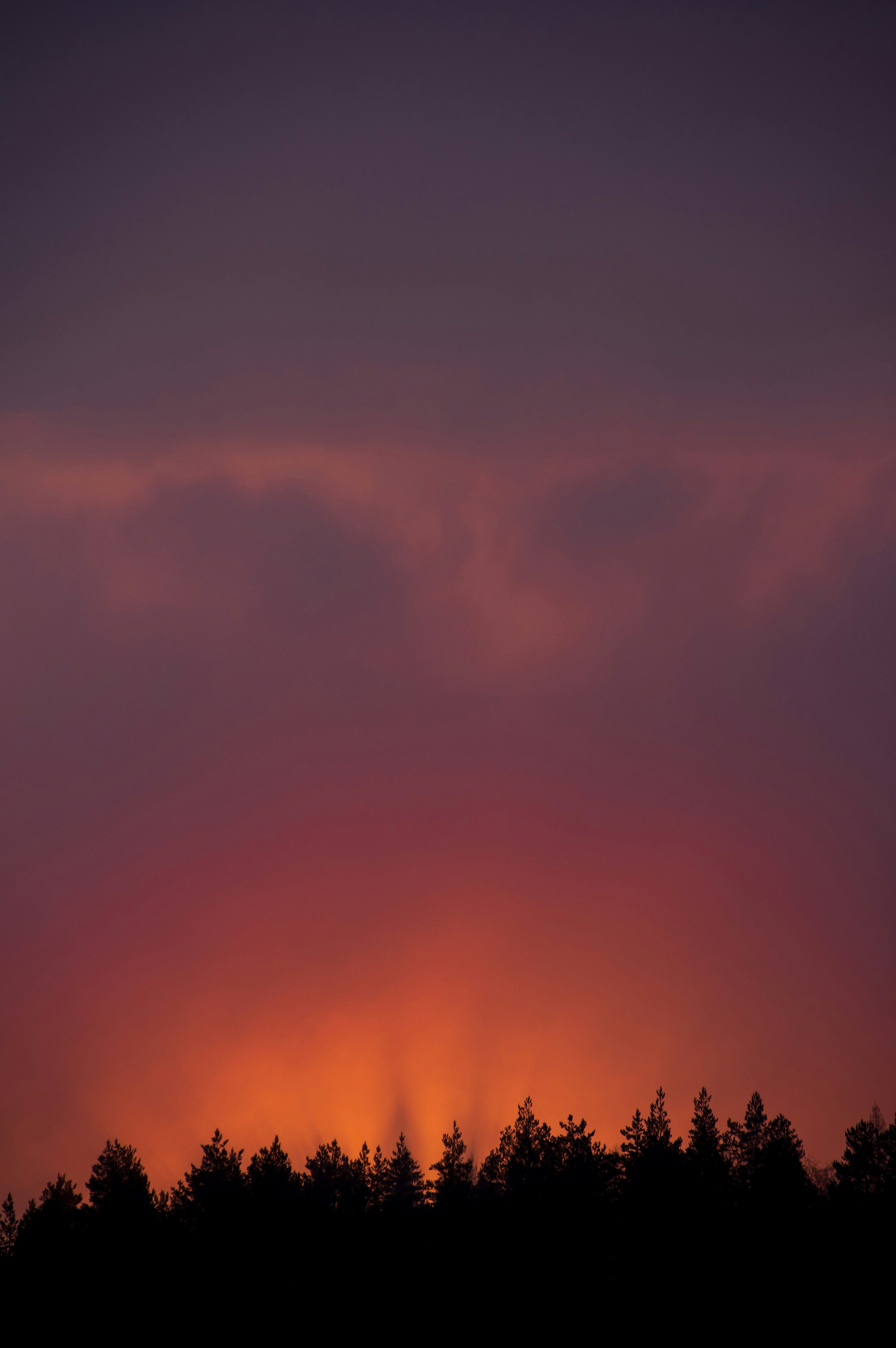 the sun is setting over the trees in the distance