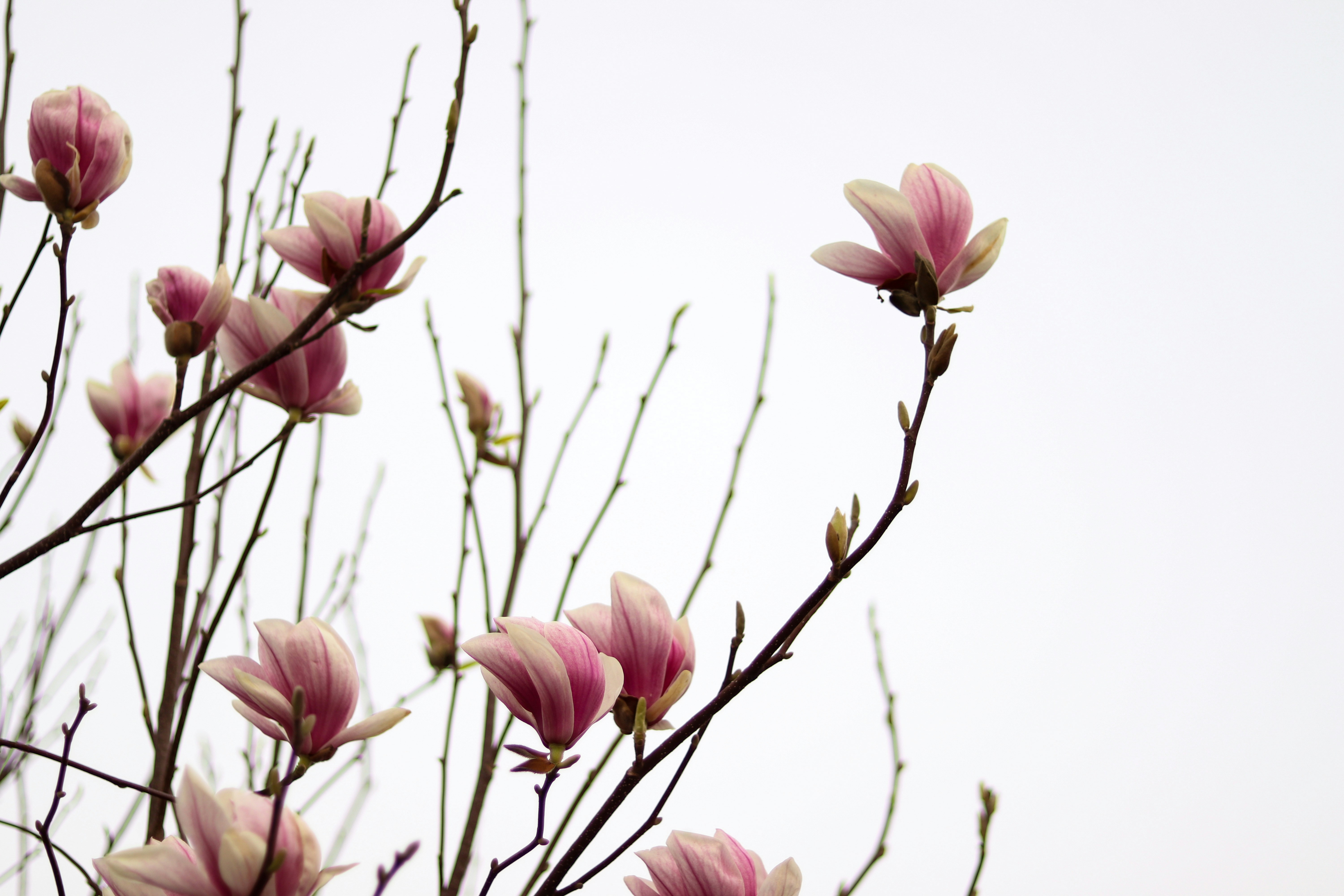 Photo by riccardofarinazzo