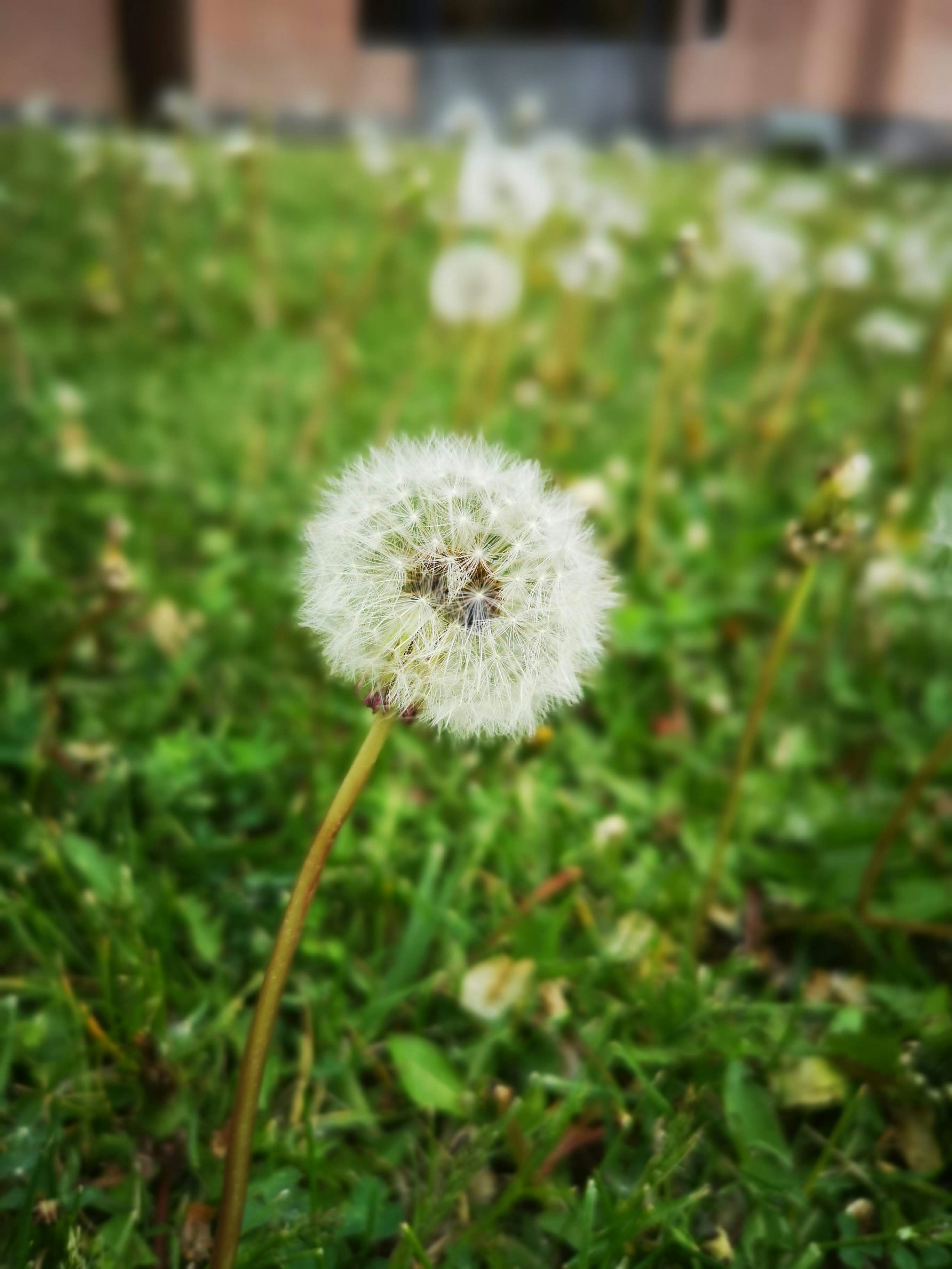 Photo by sa10ic