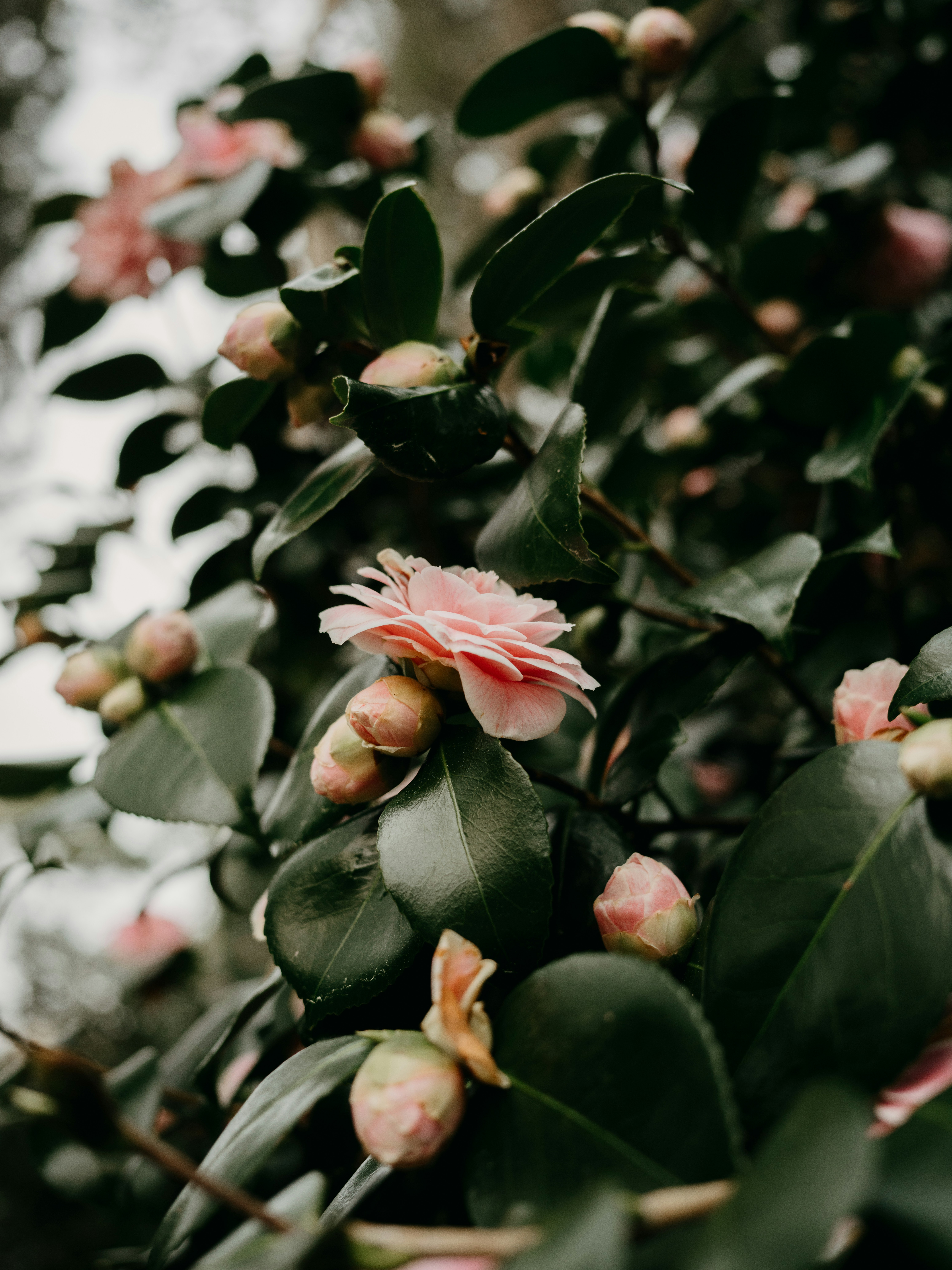 Photo by anniespratt