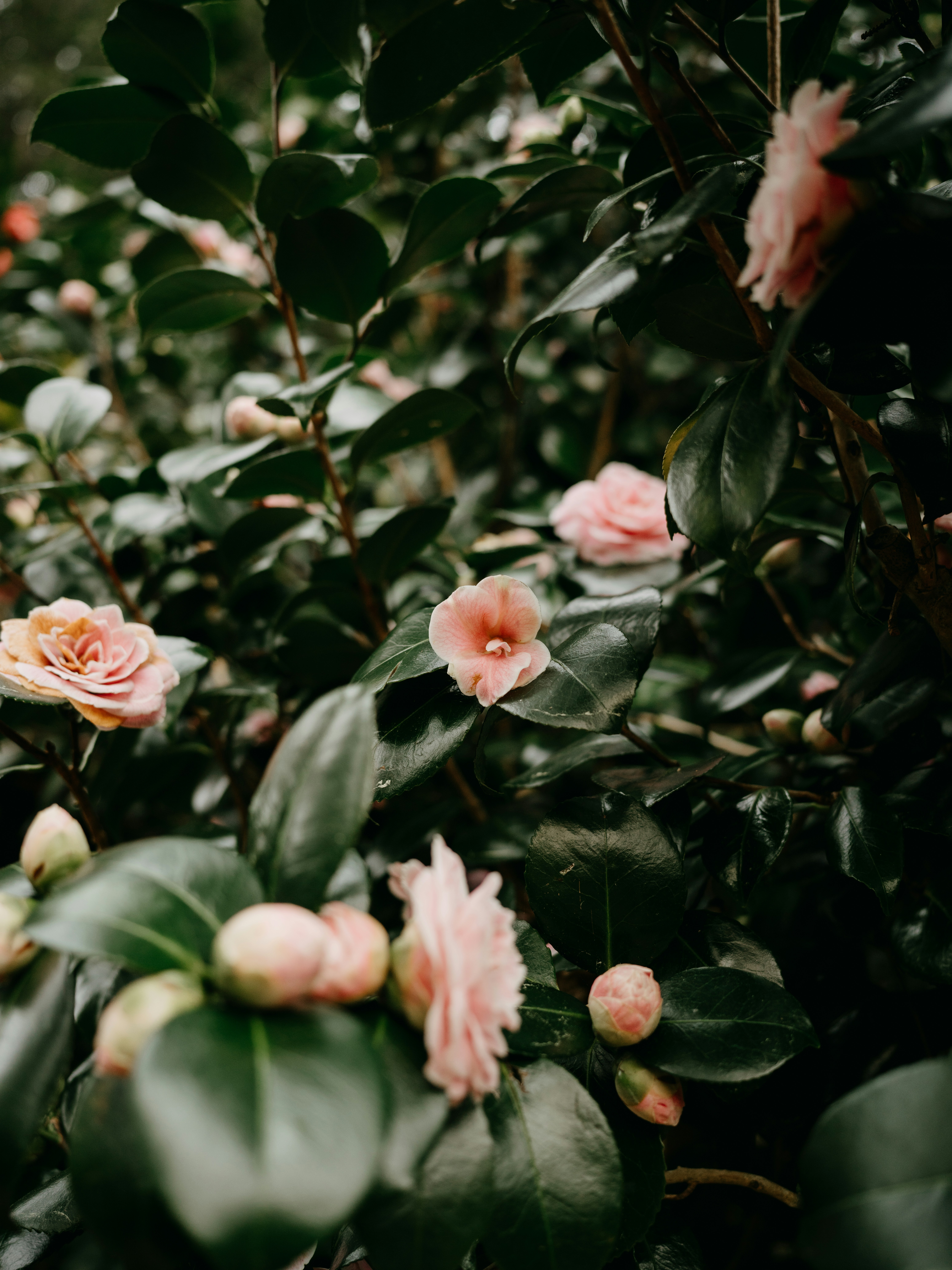 Photo by anniespratt