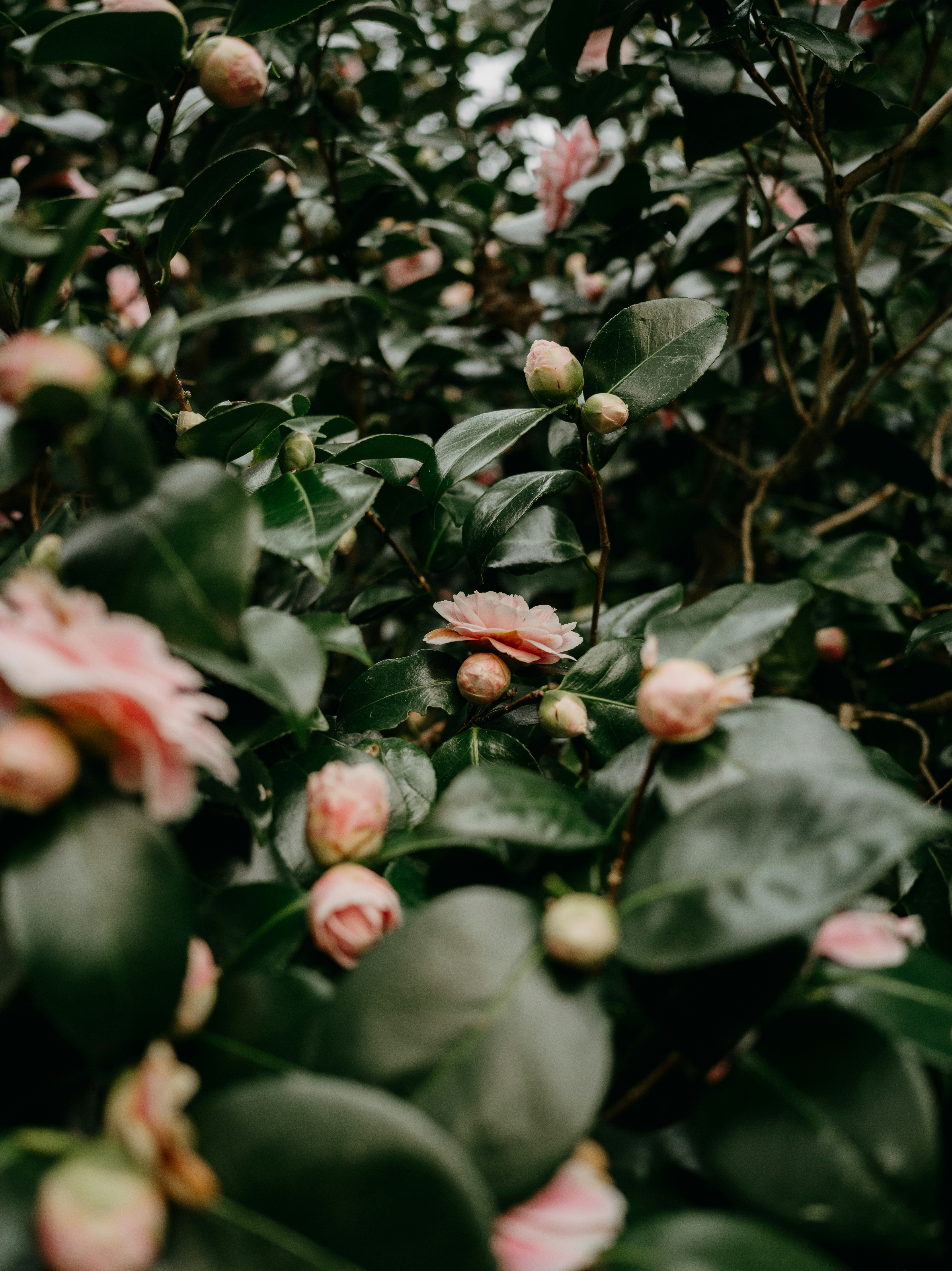 Photo by anniespratt