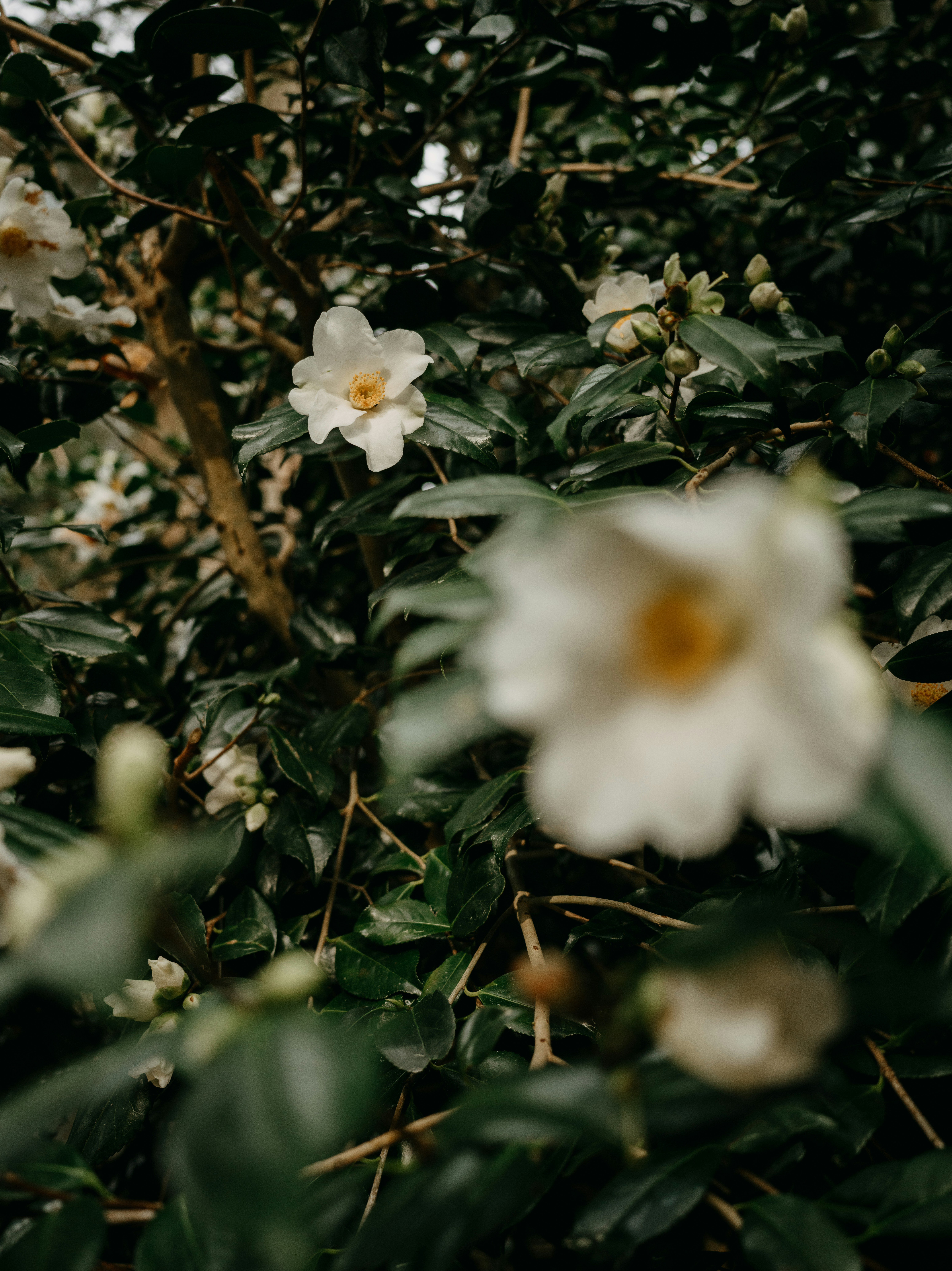 Photo by anniespratt