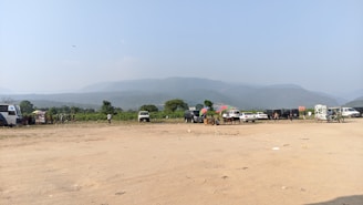 A fleet of transport vehicles parked in a sunny outdoor setting.