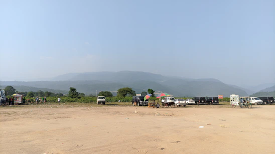 A wide view of the Pepperfields outdoor yard showing rows of vehicles being processed under clear skies.