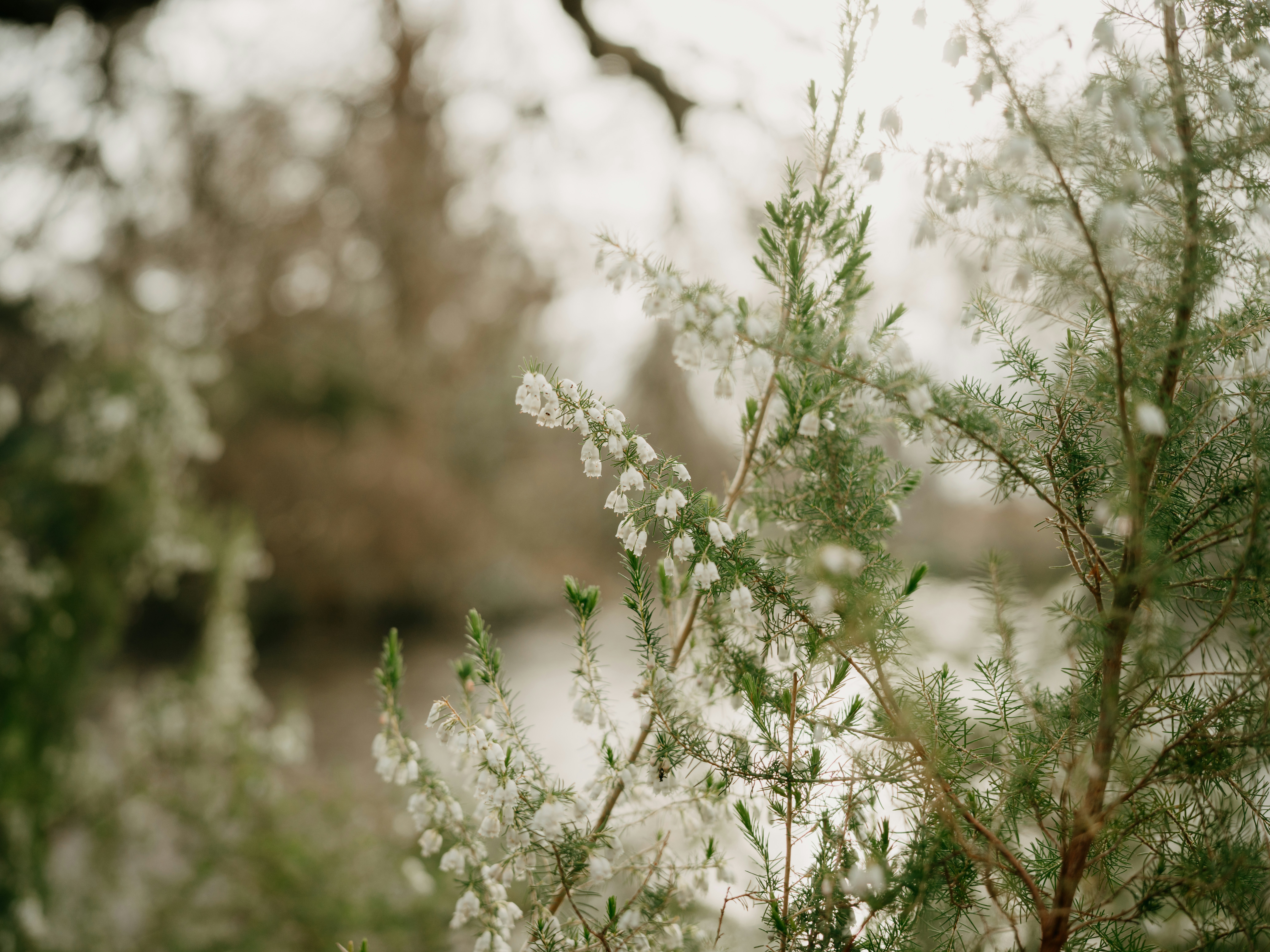 Photo by anniespratt