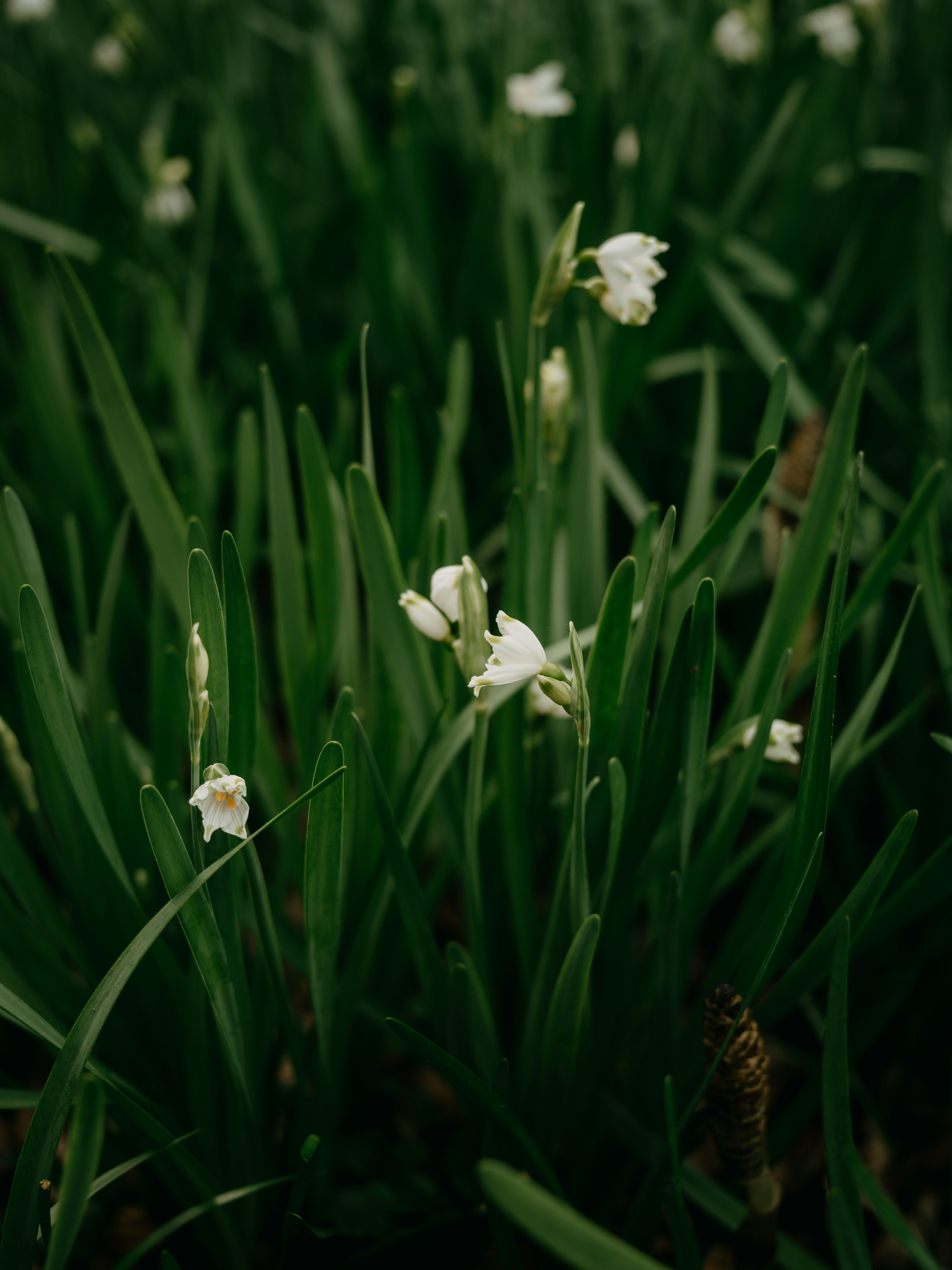 Photo by anniespratt