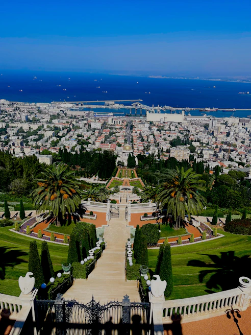 A modern garden design in Jeddah featuring palm trees and elegant stone pathways.