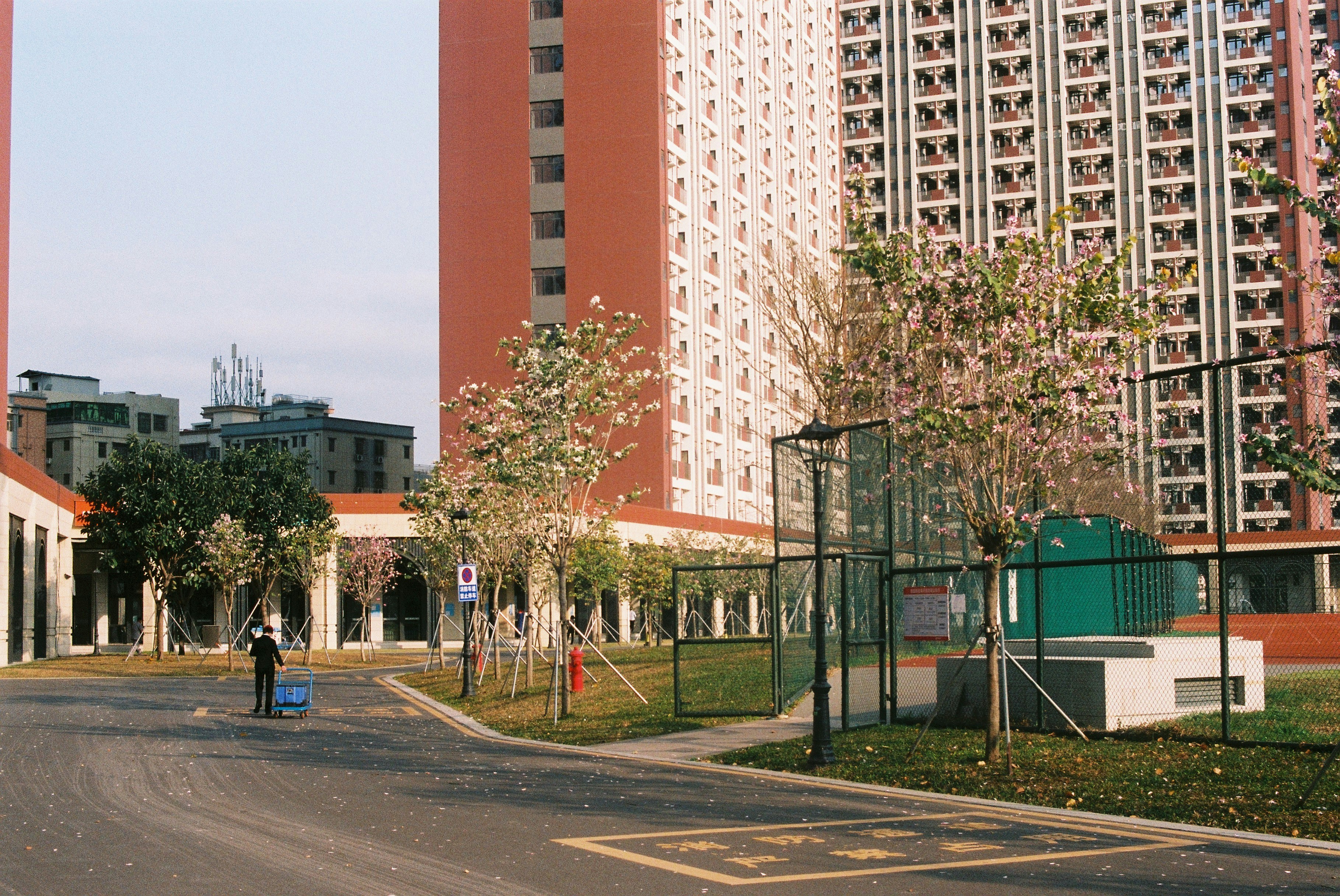 Modern student living