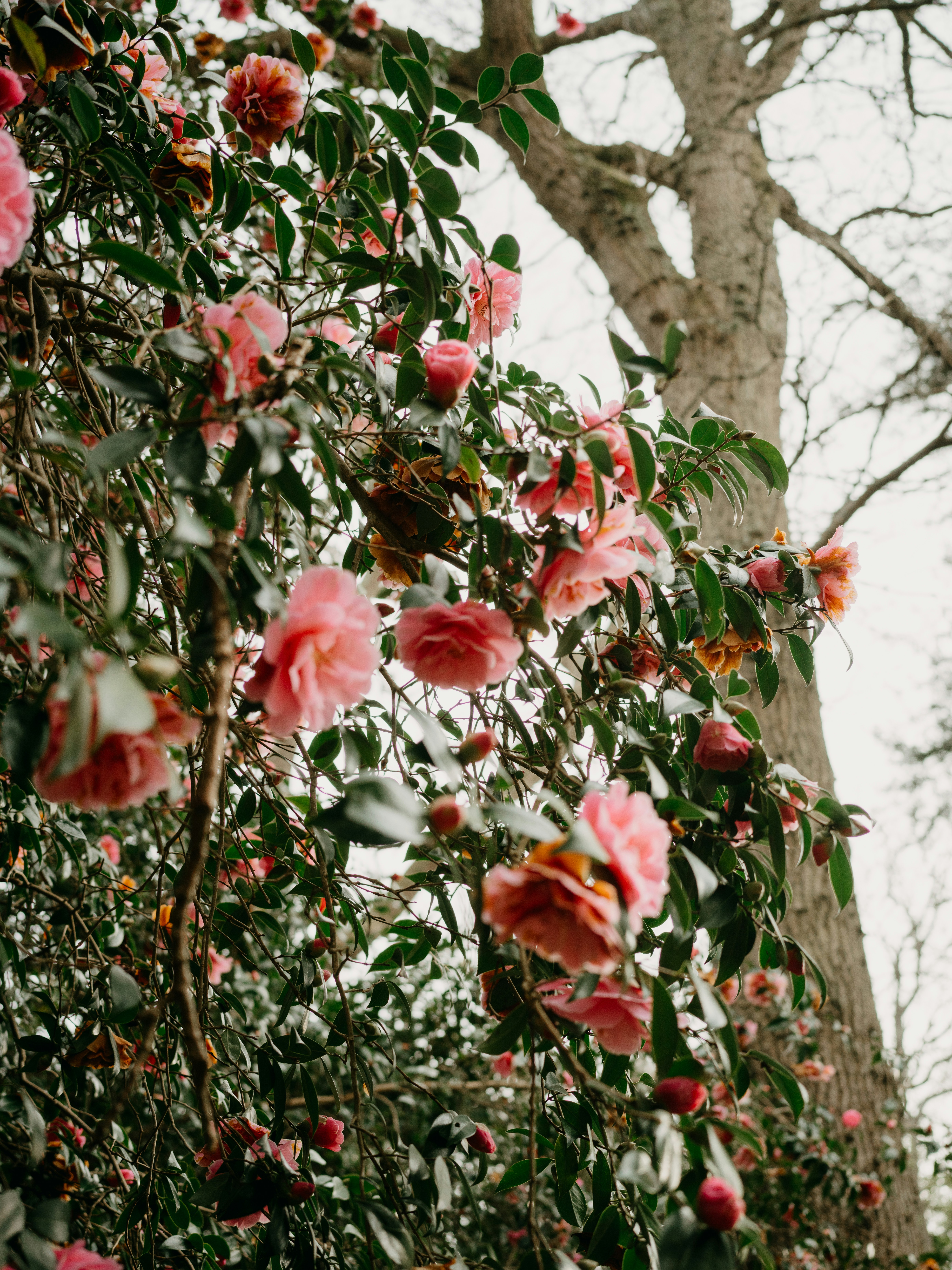 Photo by anniespratt