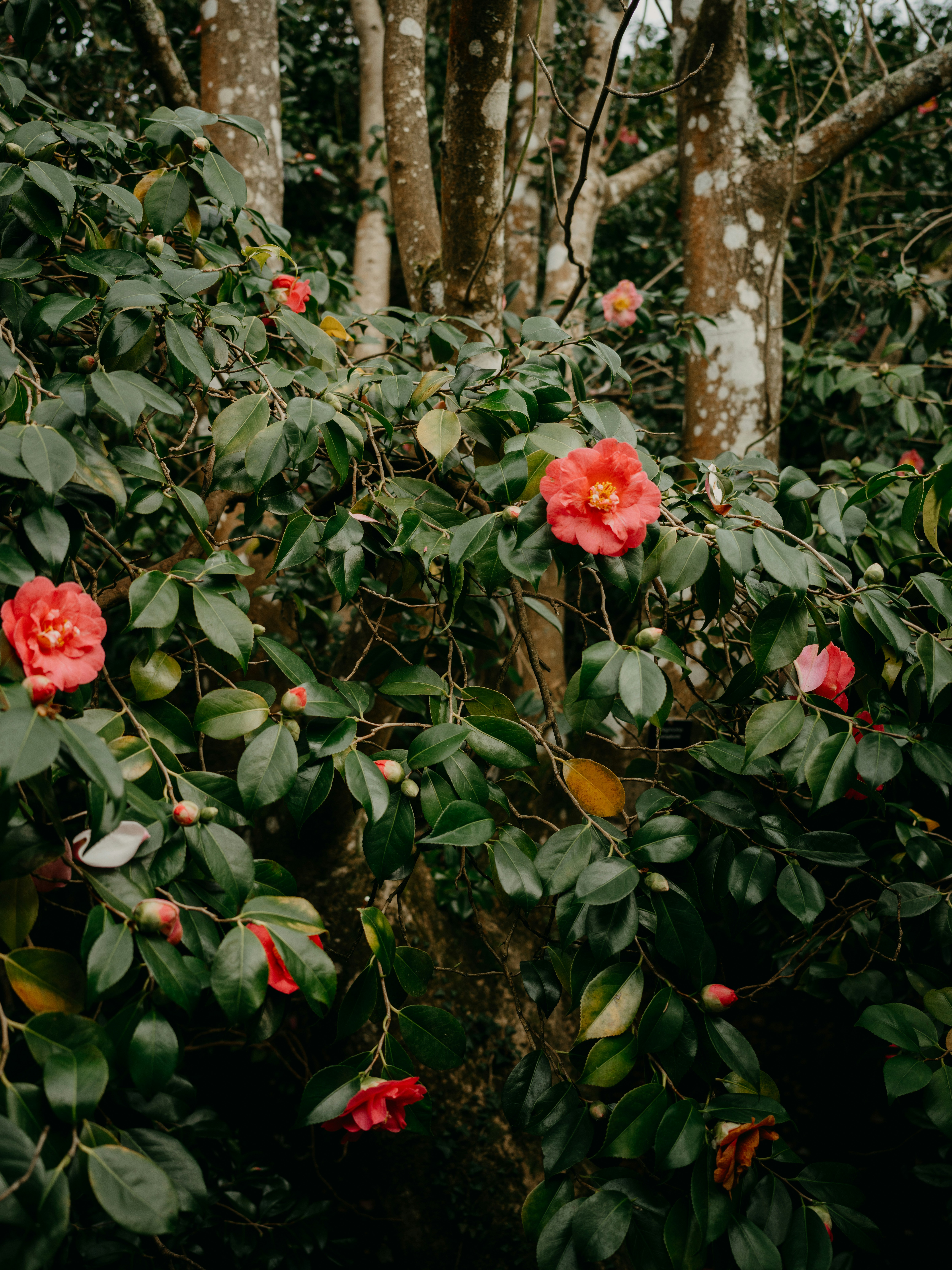 Photo by anniespratt