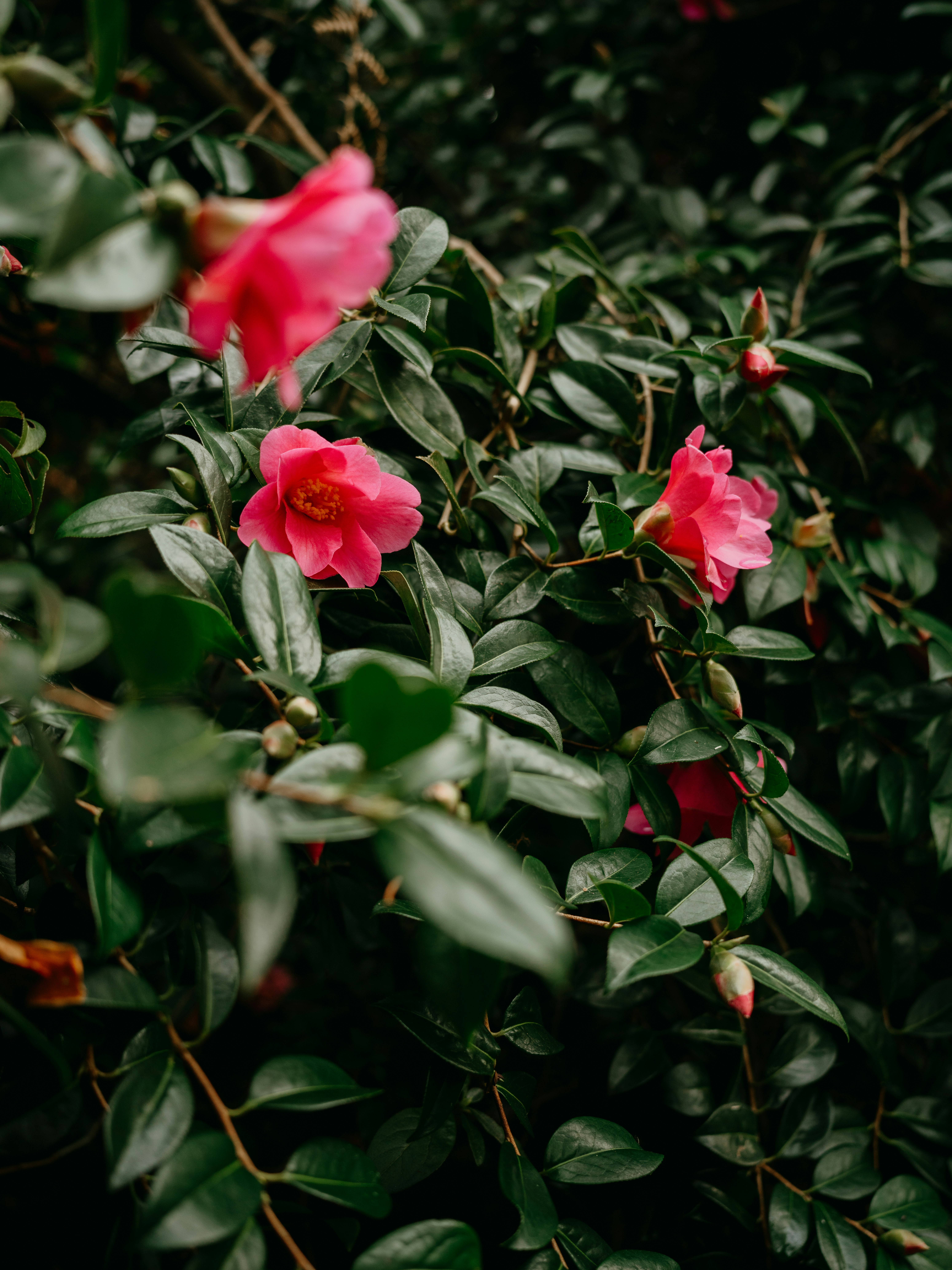 Photo by anniespratt