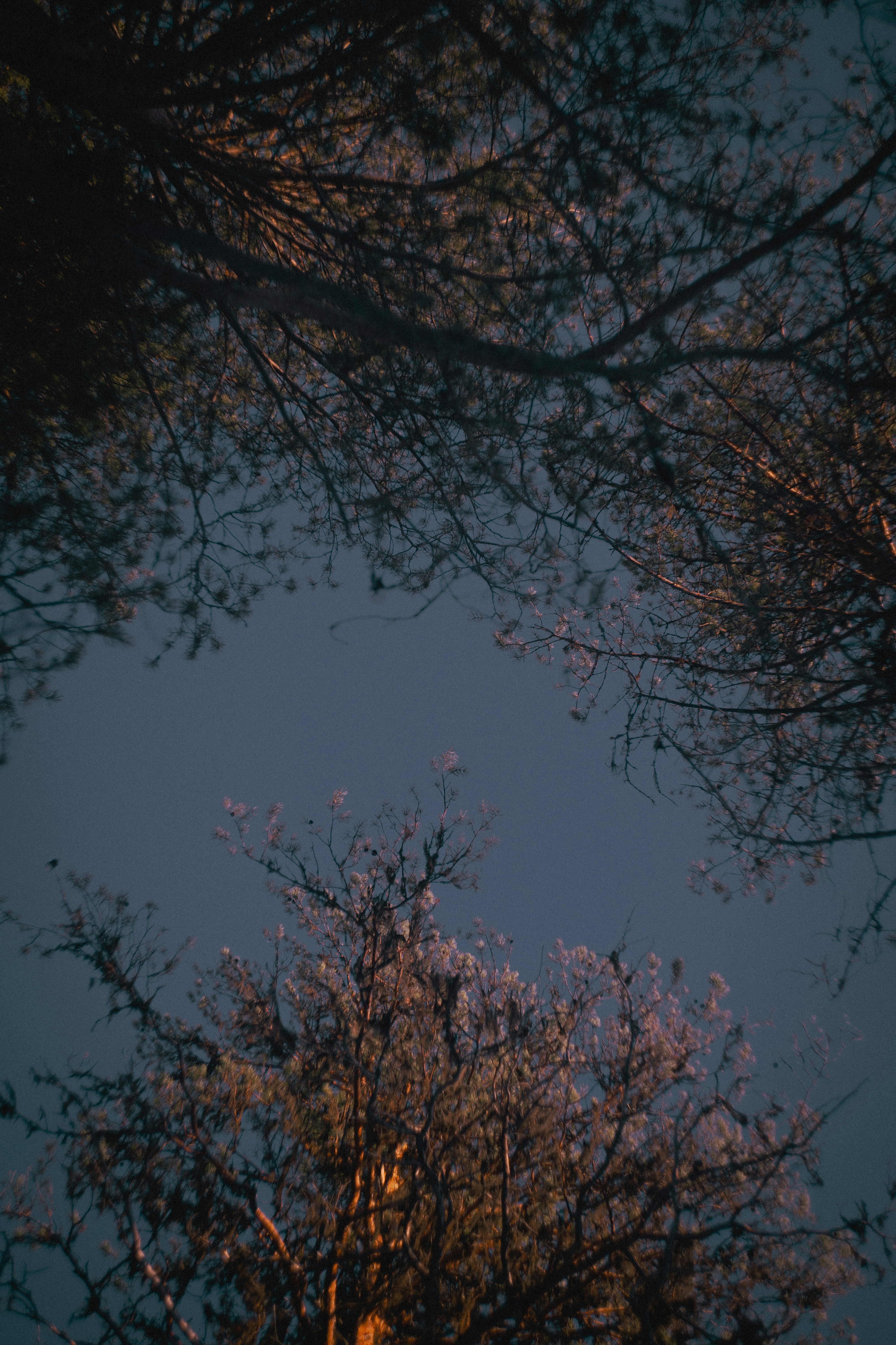 Photo by shklyaevmax