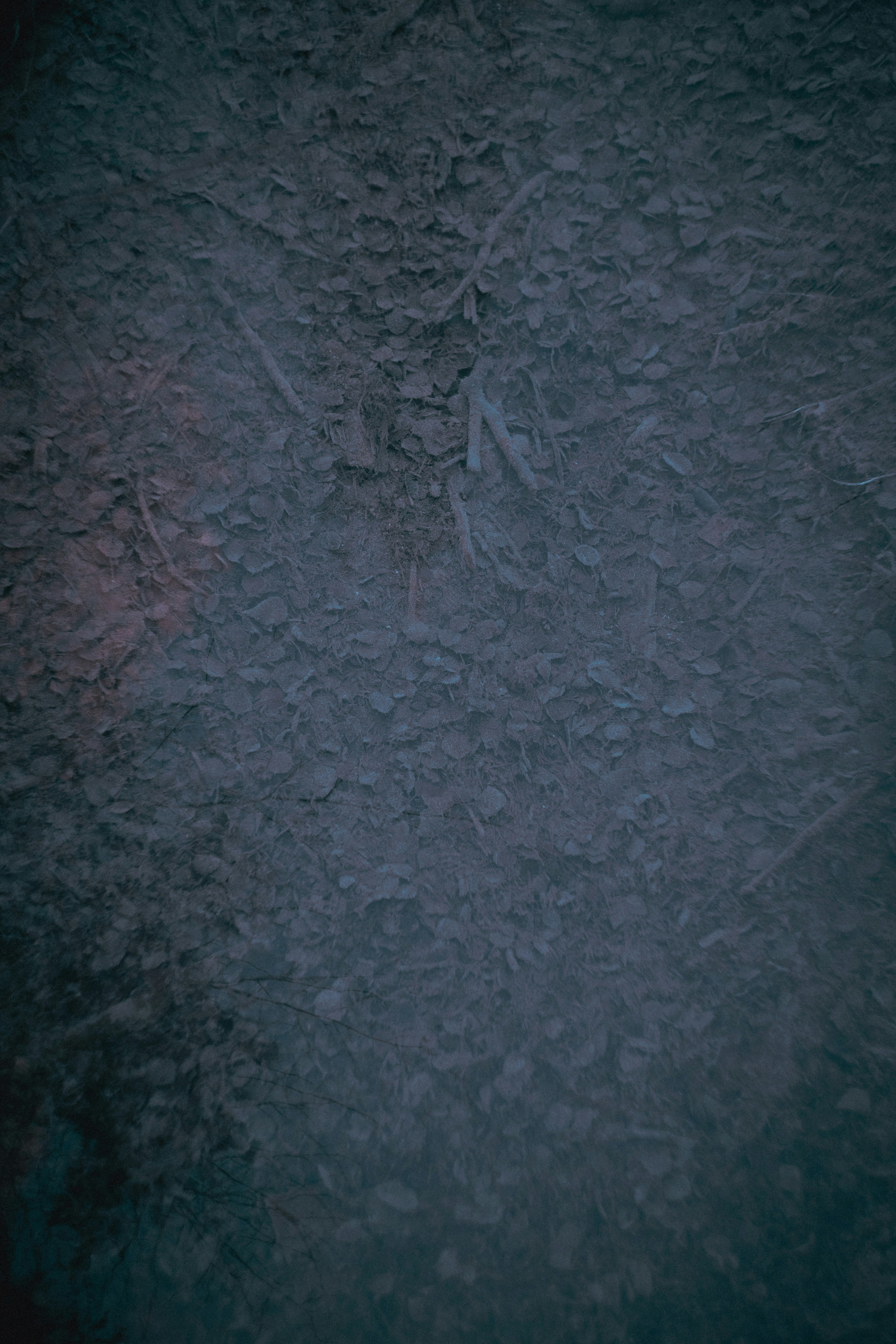 Photo by shklyaevmax