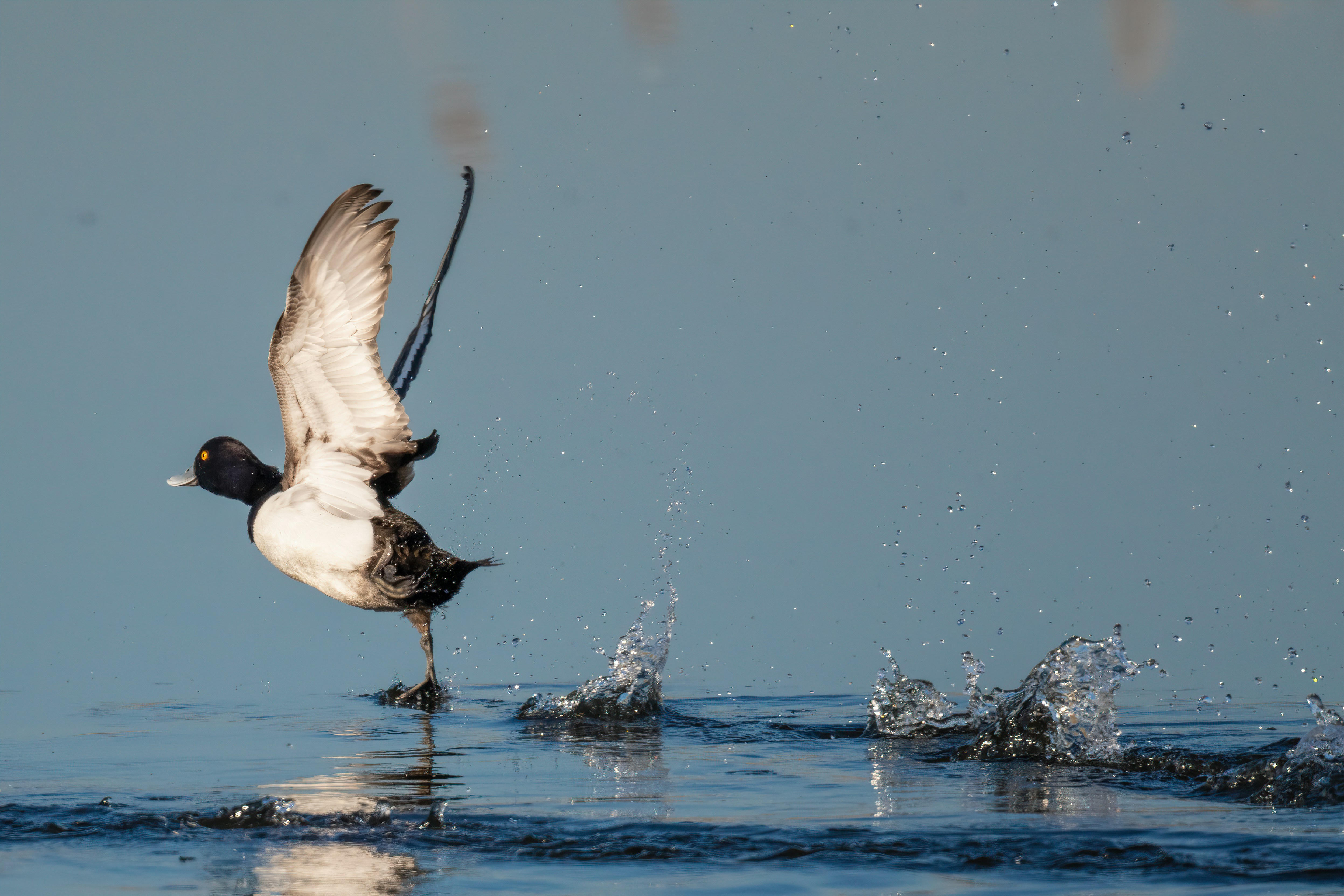 Photo by vincentvanzalinge