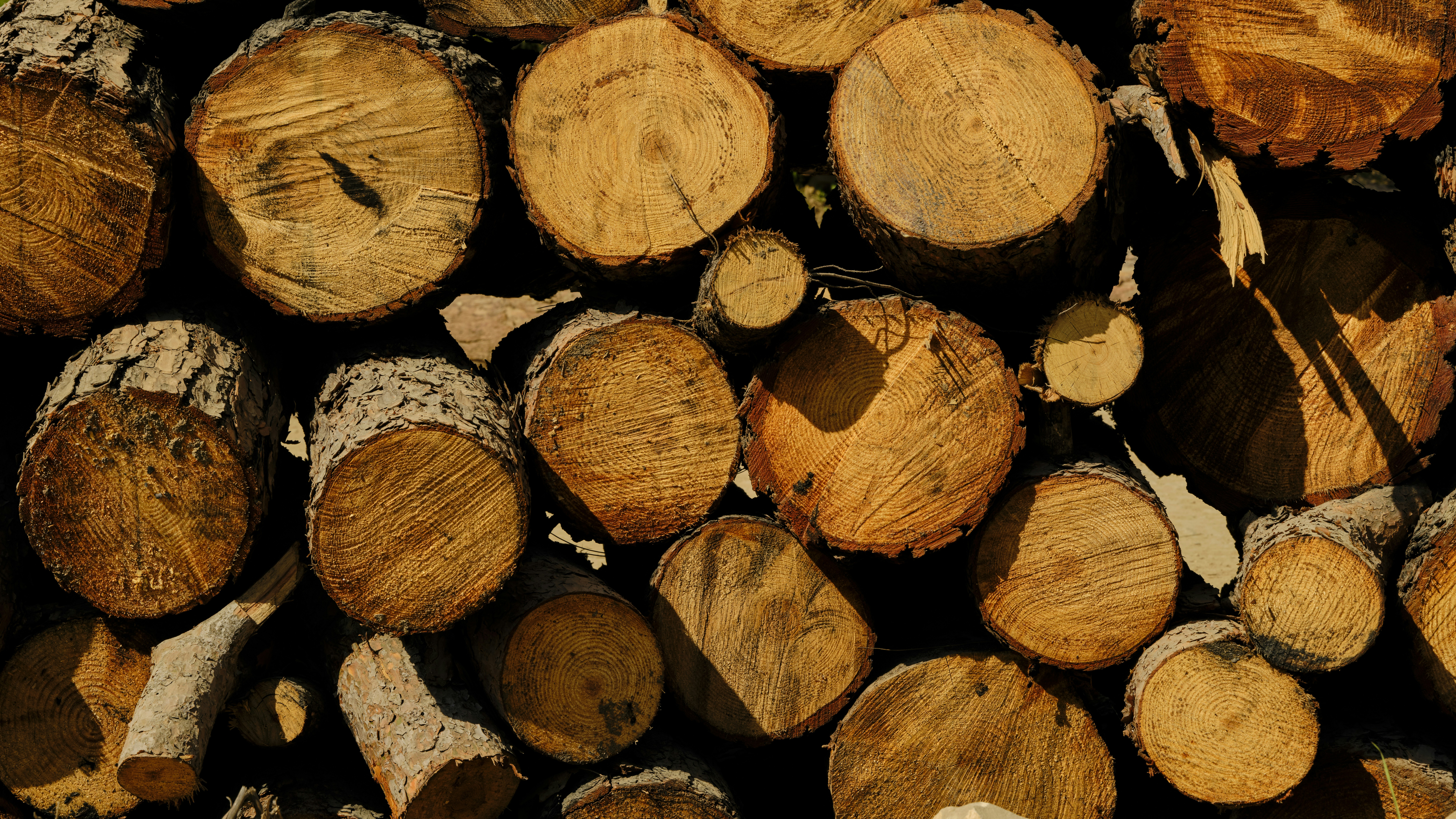 Photo by enginakyurt