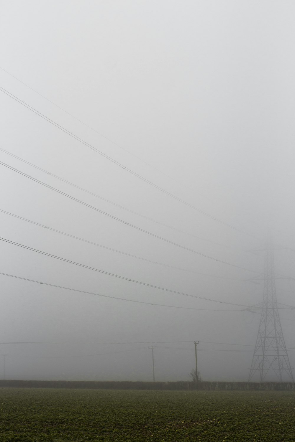 un champ brumeux avec des lignes électriques au loin