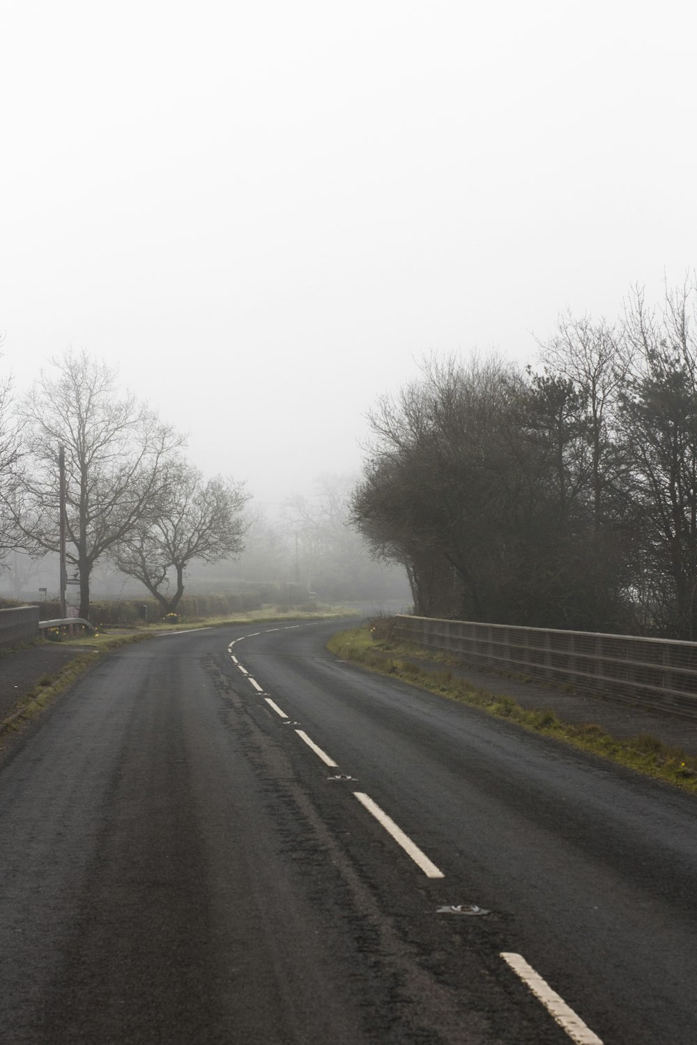 une route brumeuse avec des arbres des deux côtés