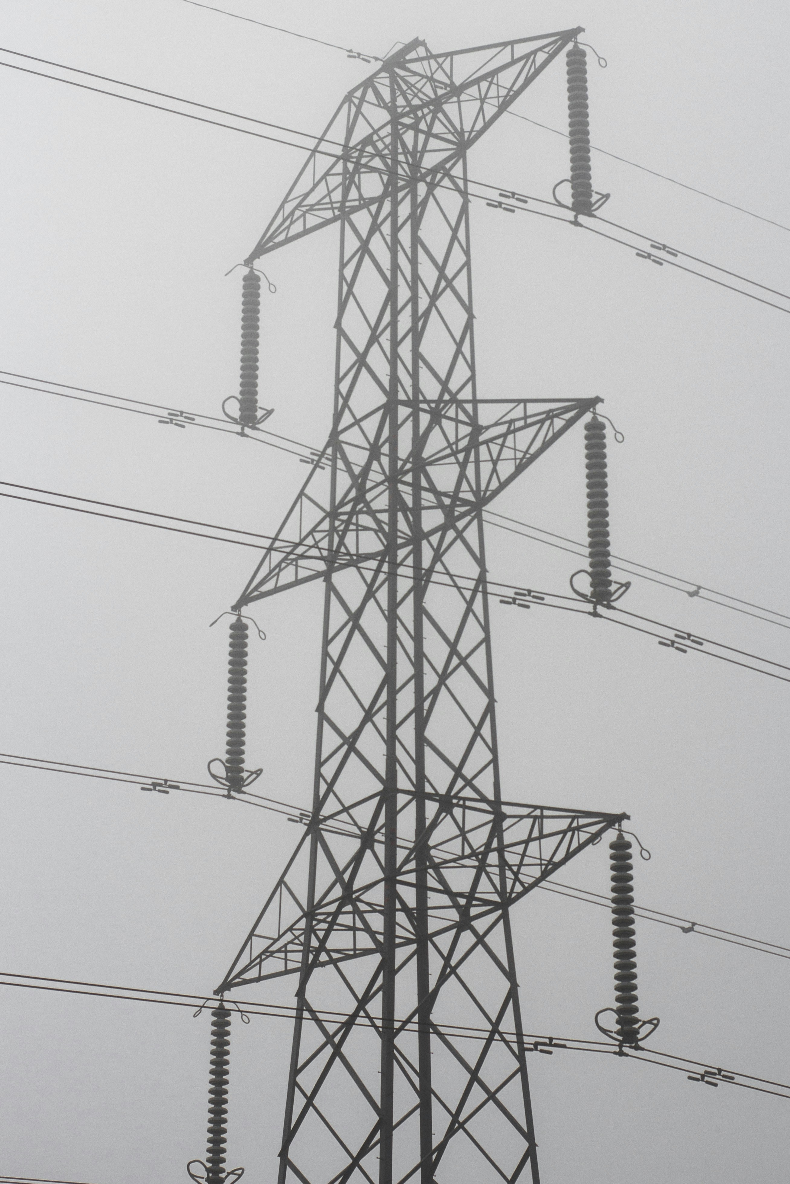 Photo by secondsight