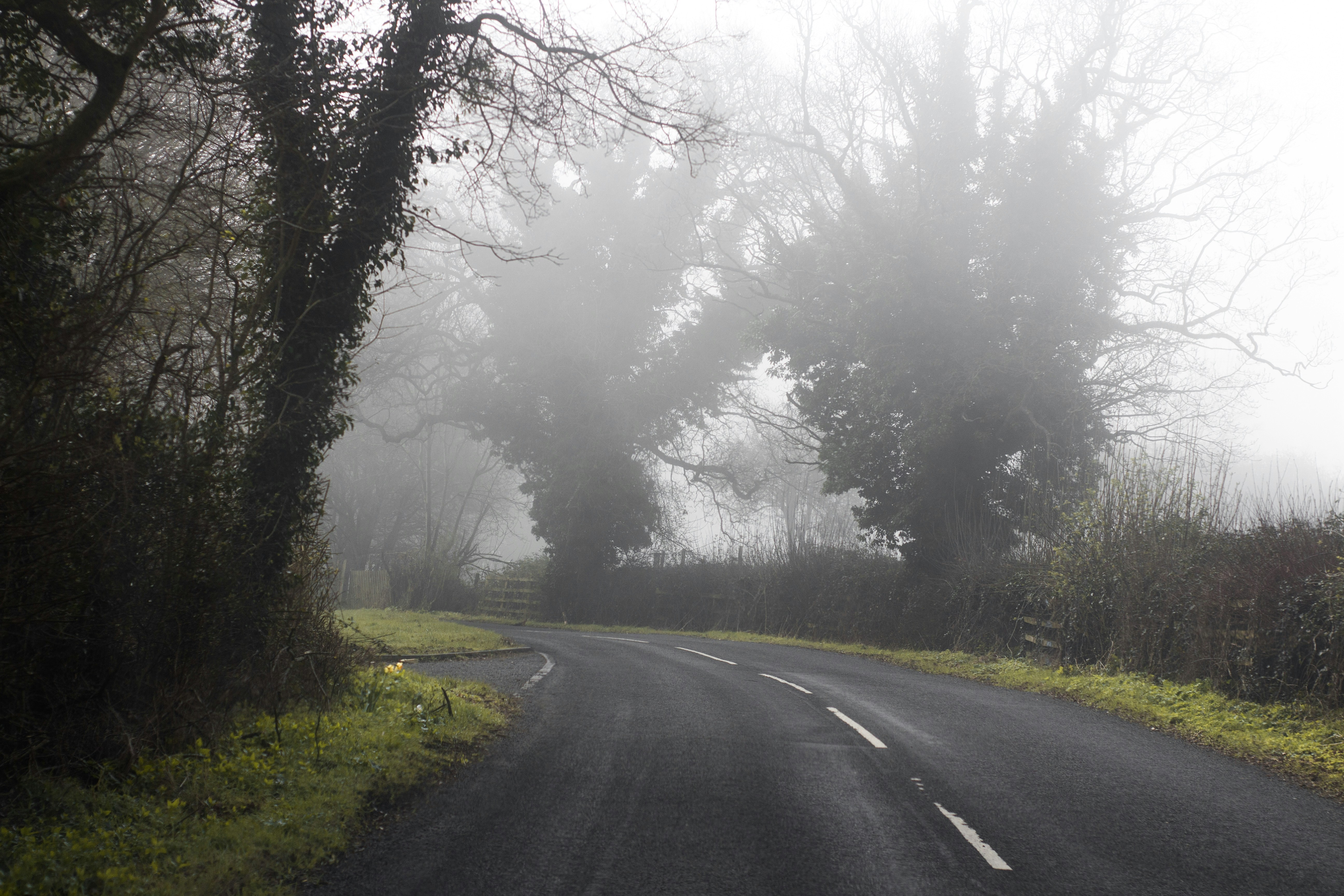 Photo by secondsight