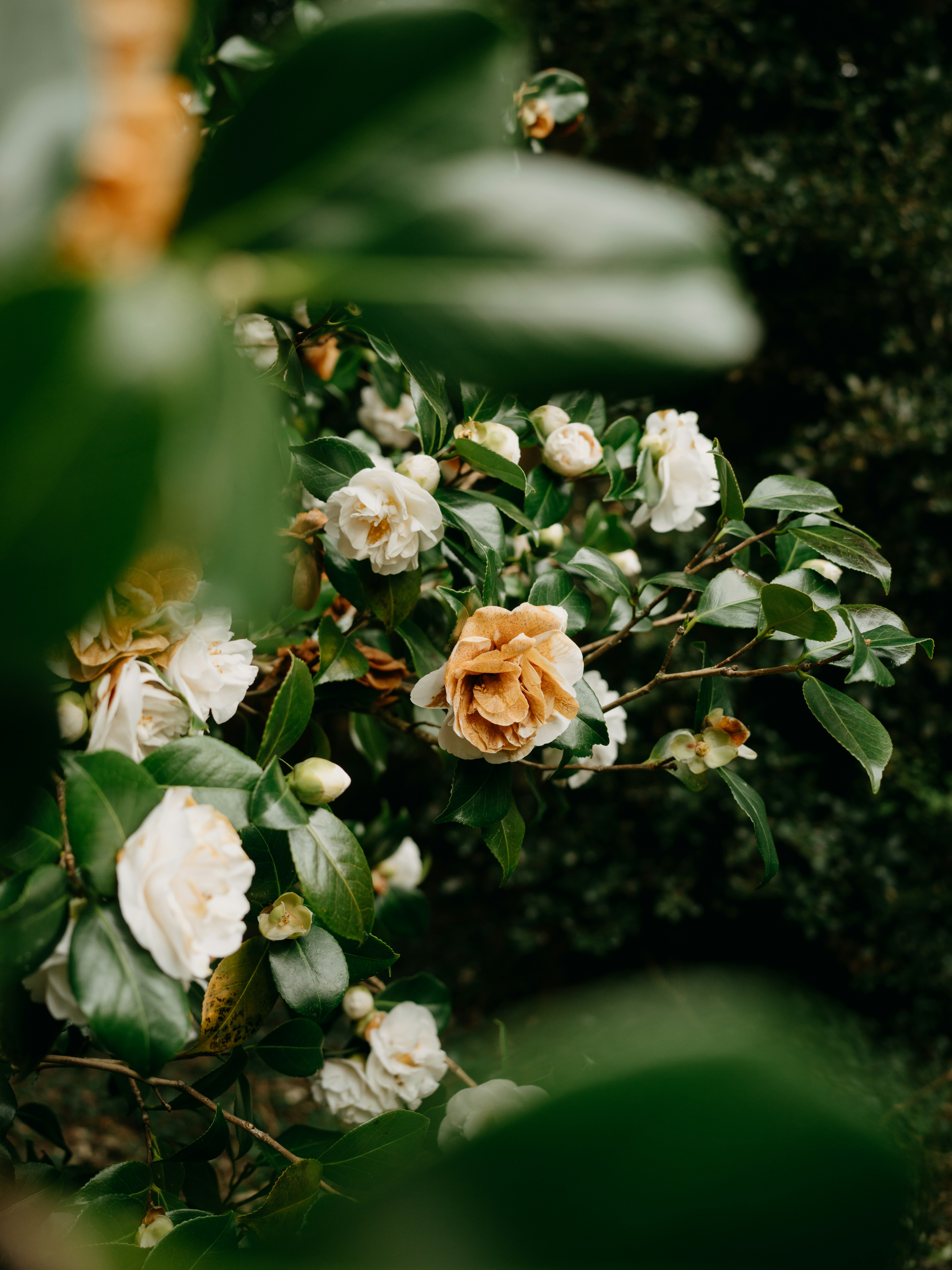 Photo by anniespratt