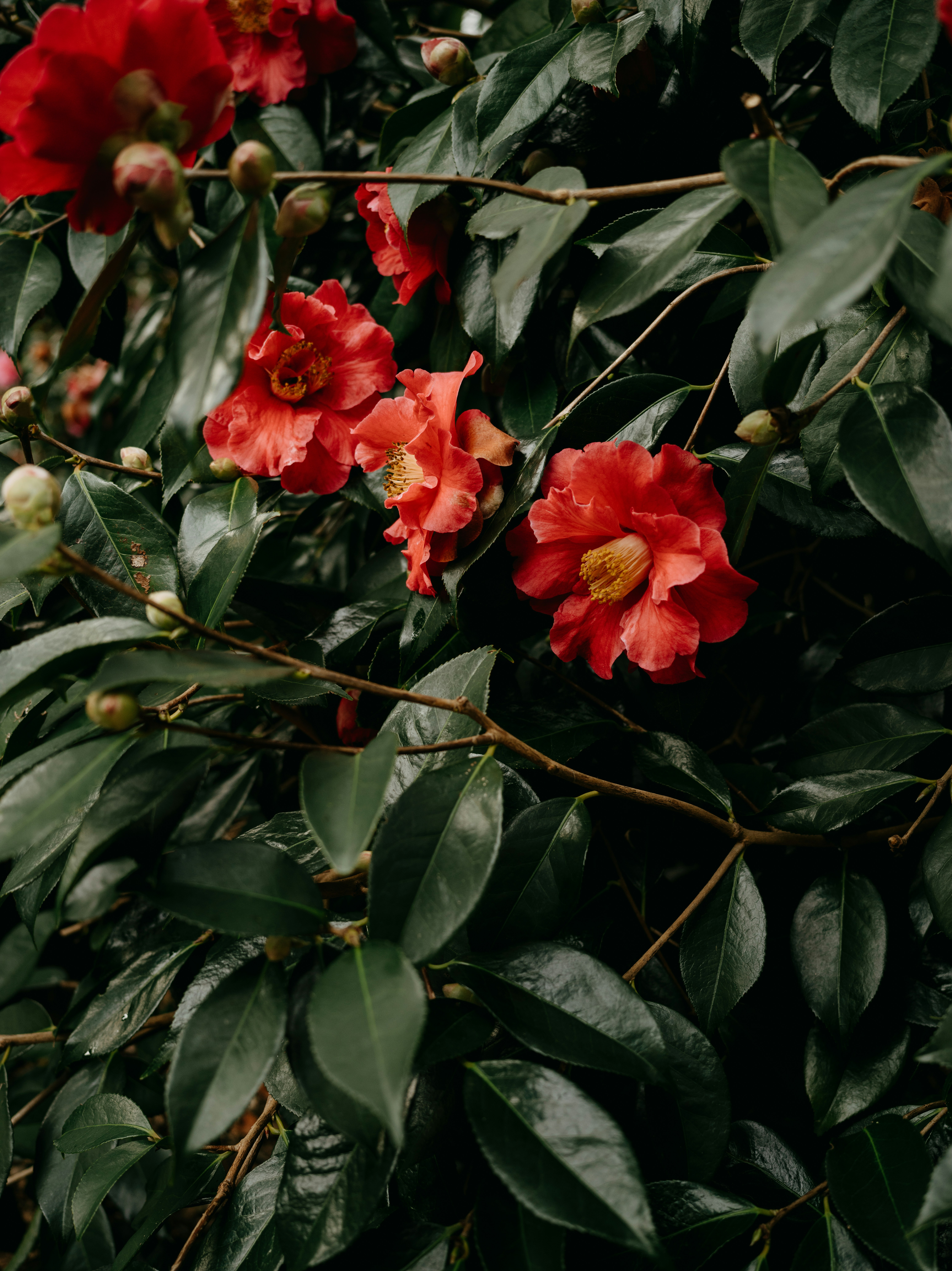 Photo by anniespratt