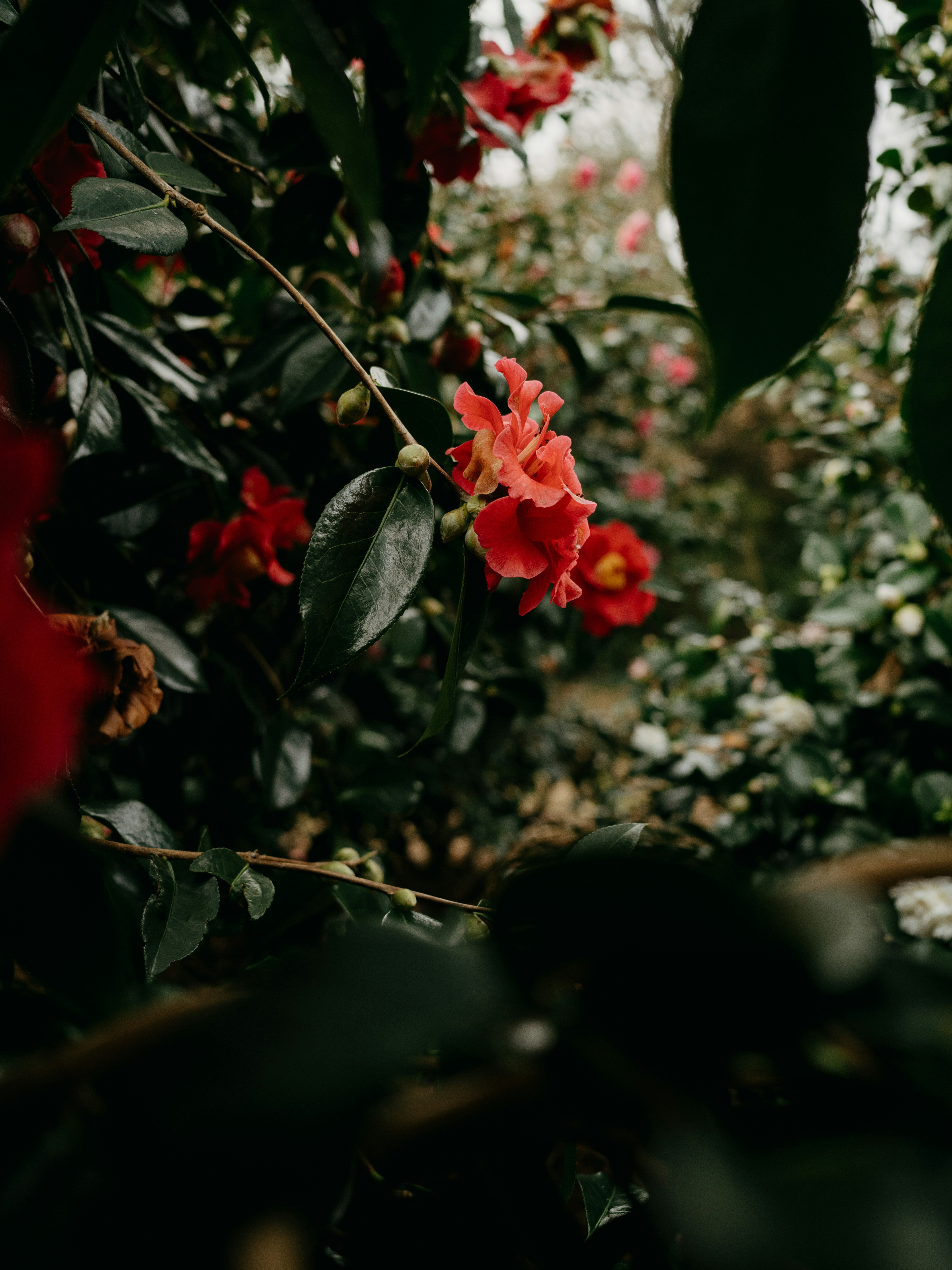 Photo by anniespratt